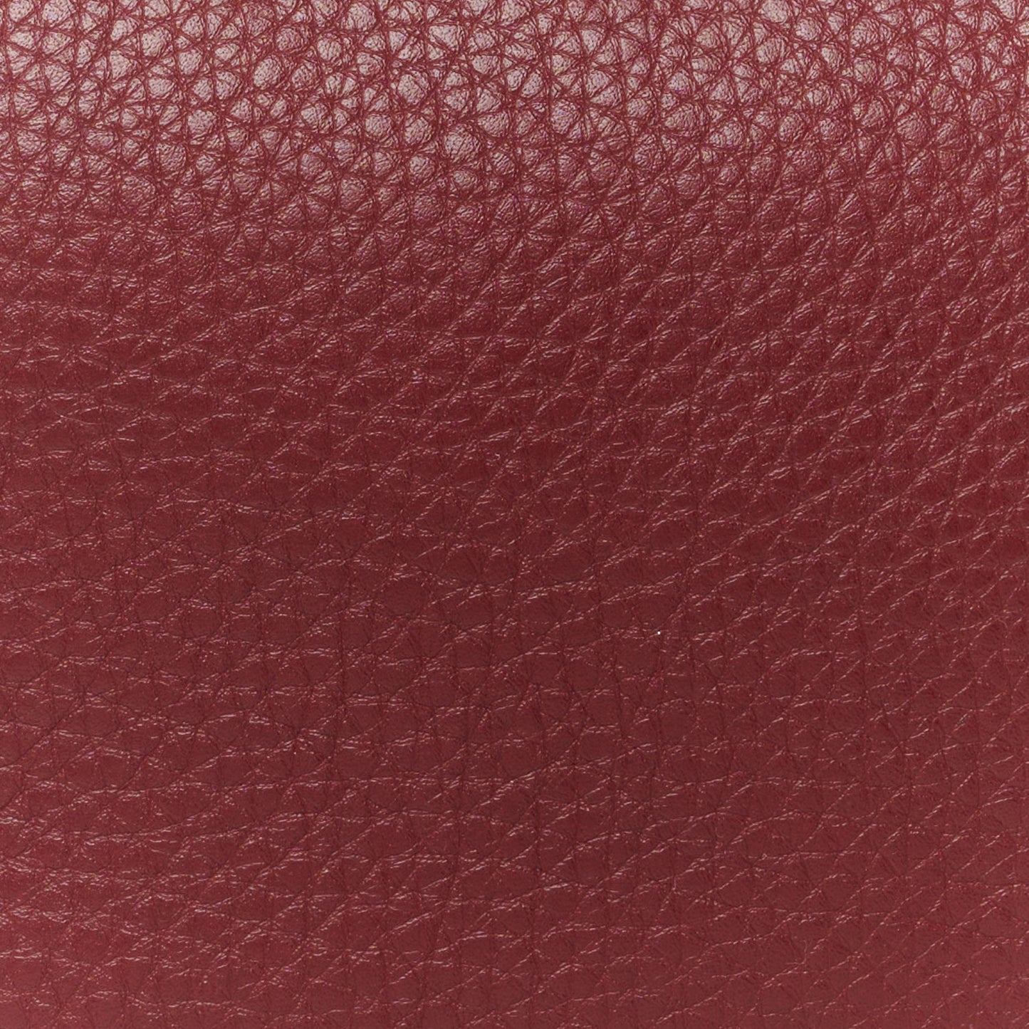 Calfskin Rockstud Camera Crossbody Bag Burgundy