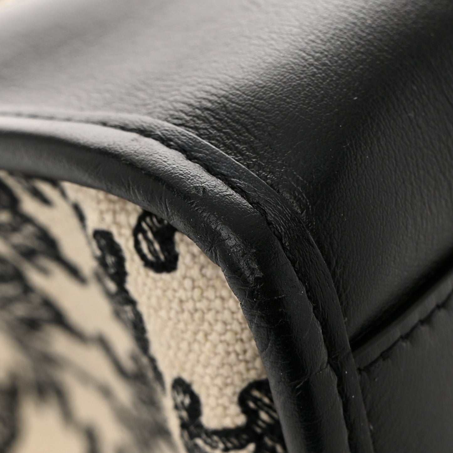 Canvas Calfskin Triomphe Embroidered Horizontal Cabas Black