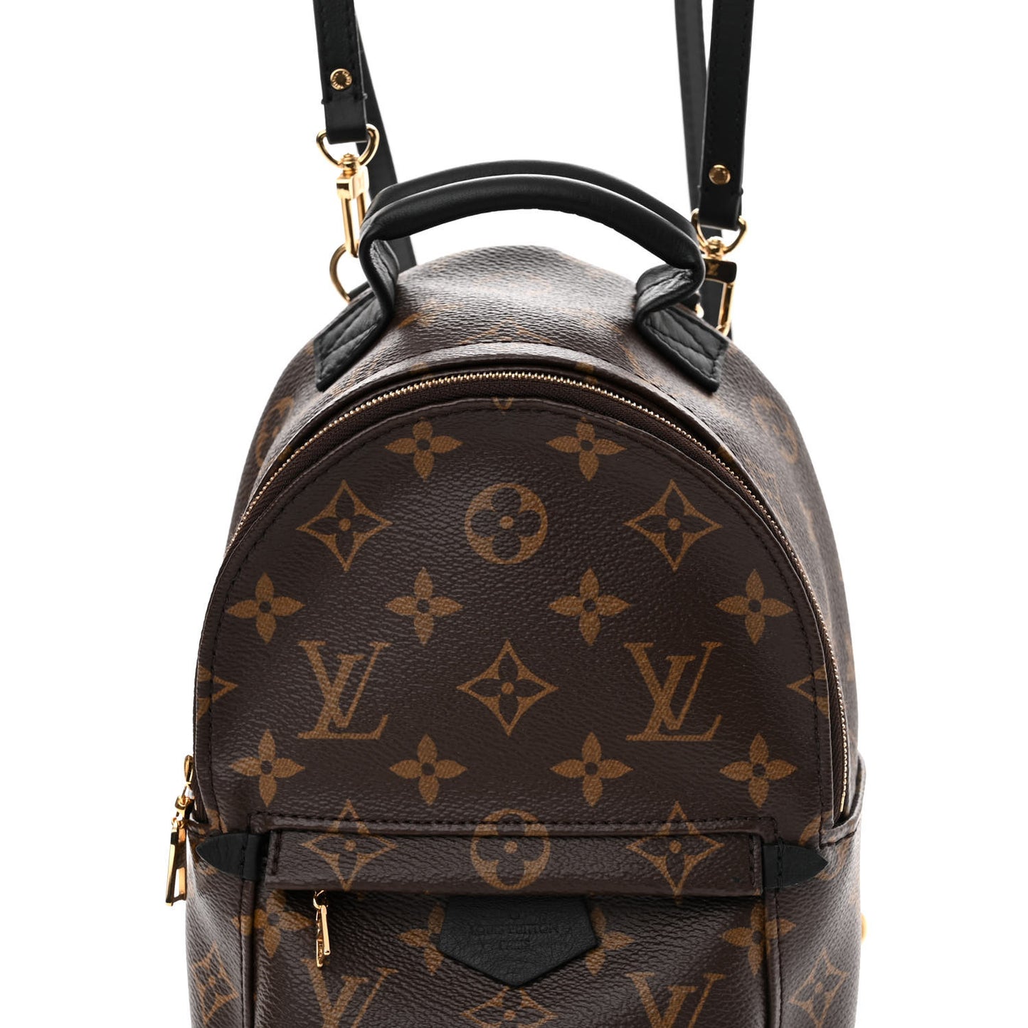 Monogram Palm Springs Backpack Mini