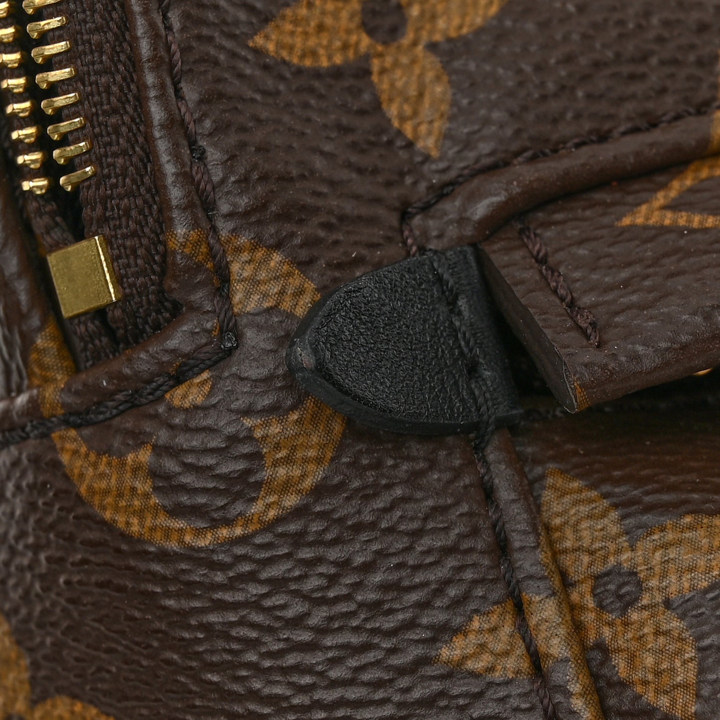 Monogram Palm Springs Backpack Mini