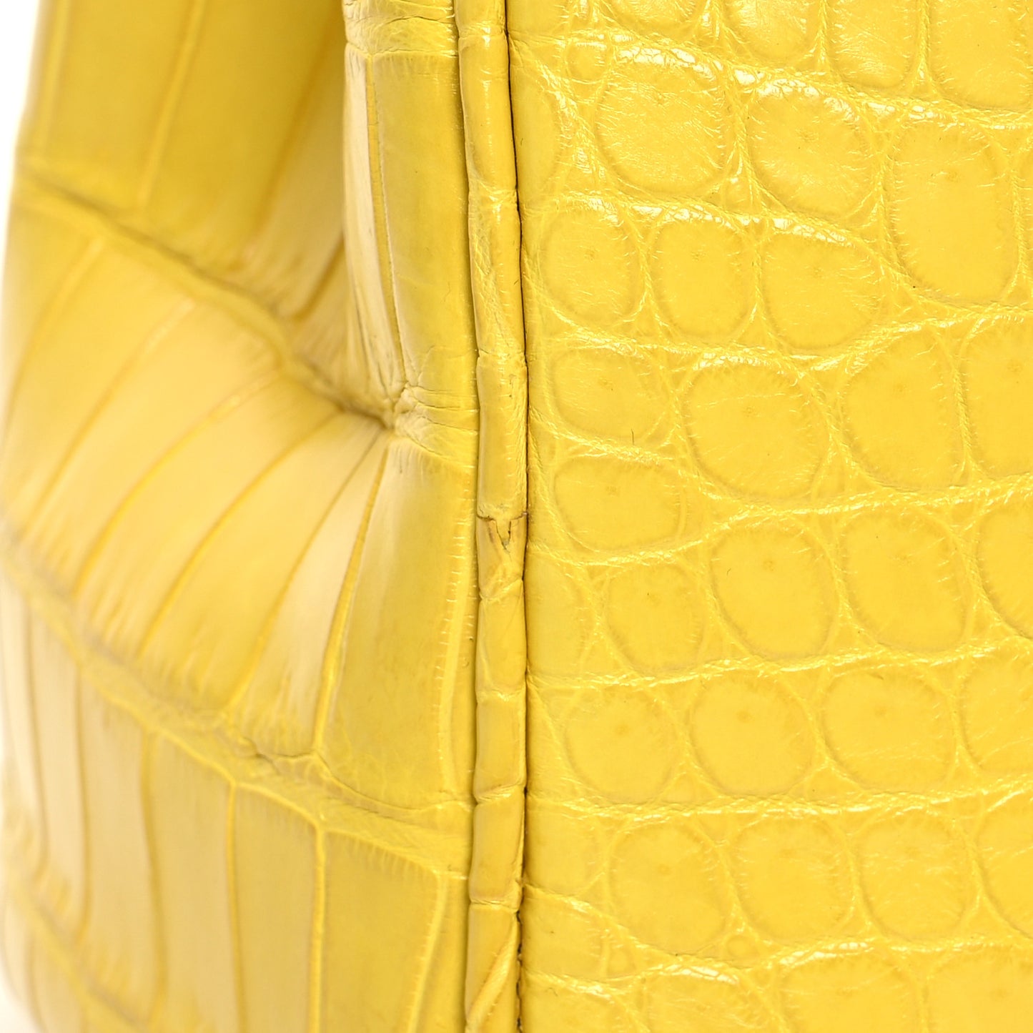 Crocodile Large Diorissimo Yellow