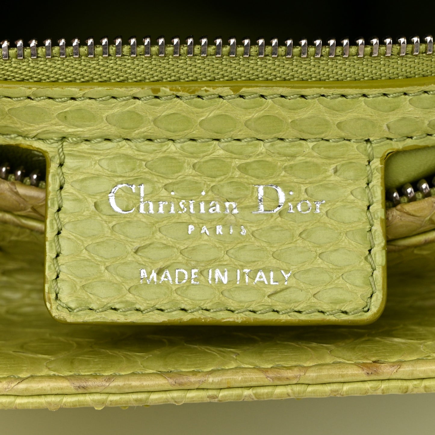 Snakeskin Medium Lady Dior Green