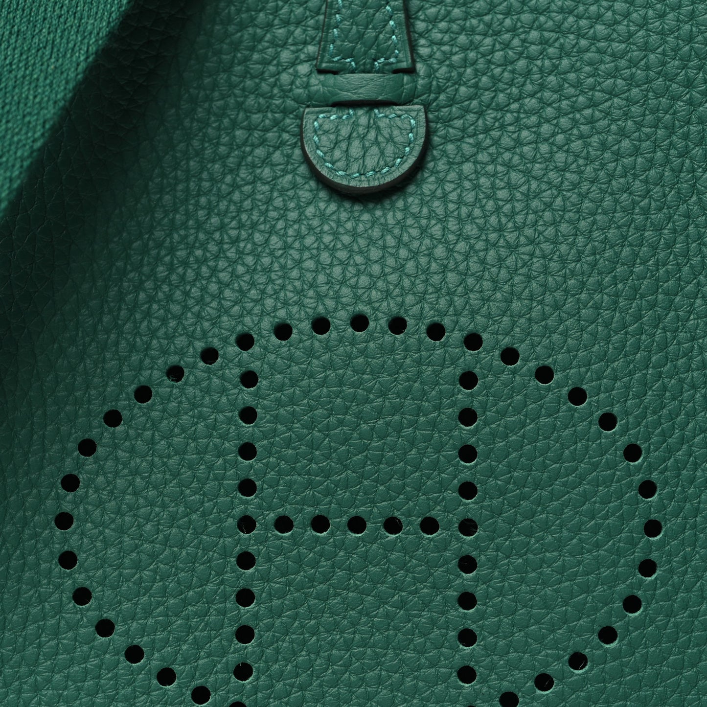 Taurillon Clemence Evelyne TPM Vert Vertigo