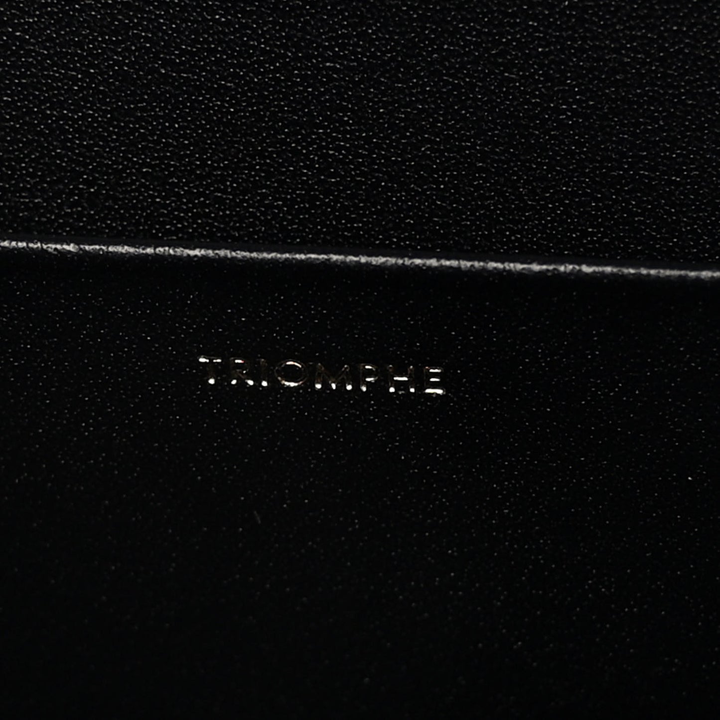 Shiny Calfskin Medium Triomphe Black
