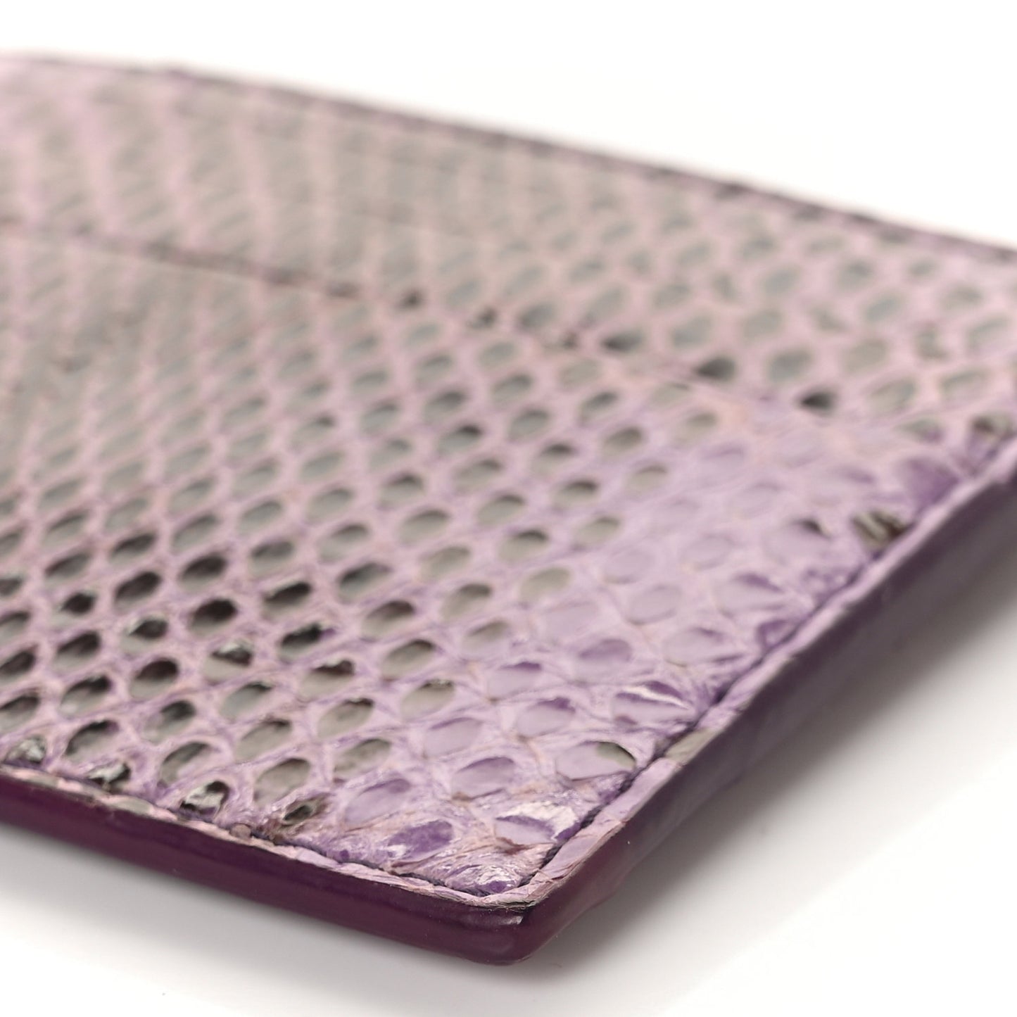 Lizard Card Wallet Purple