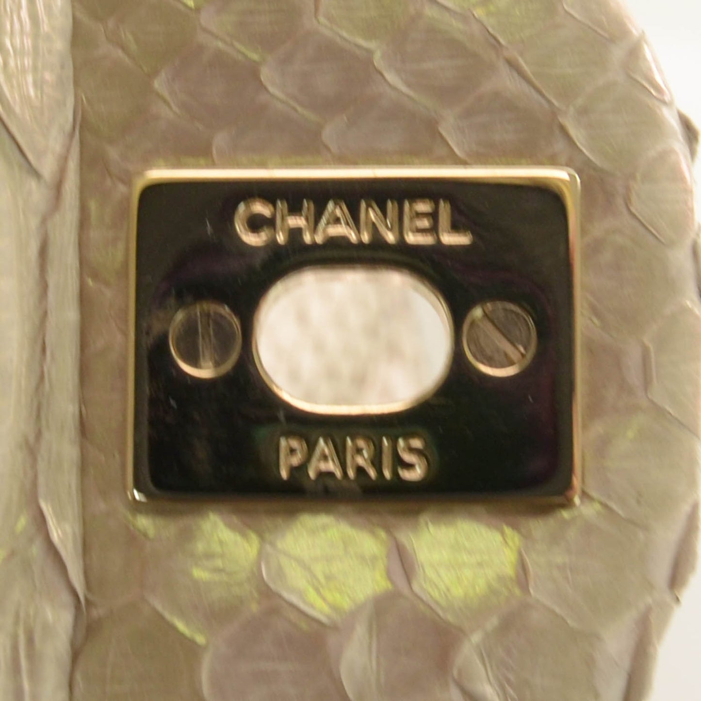 Iridescent Python Mini Flap
