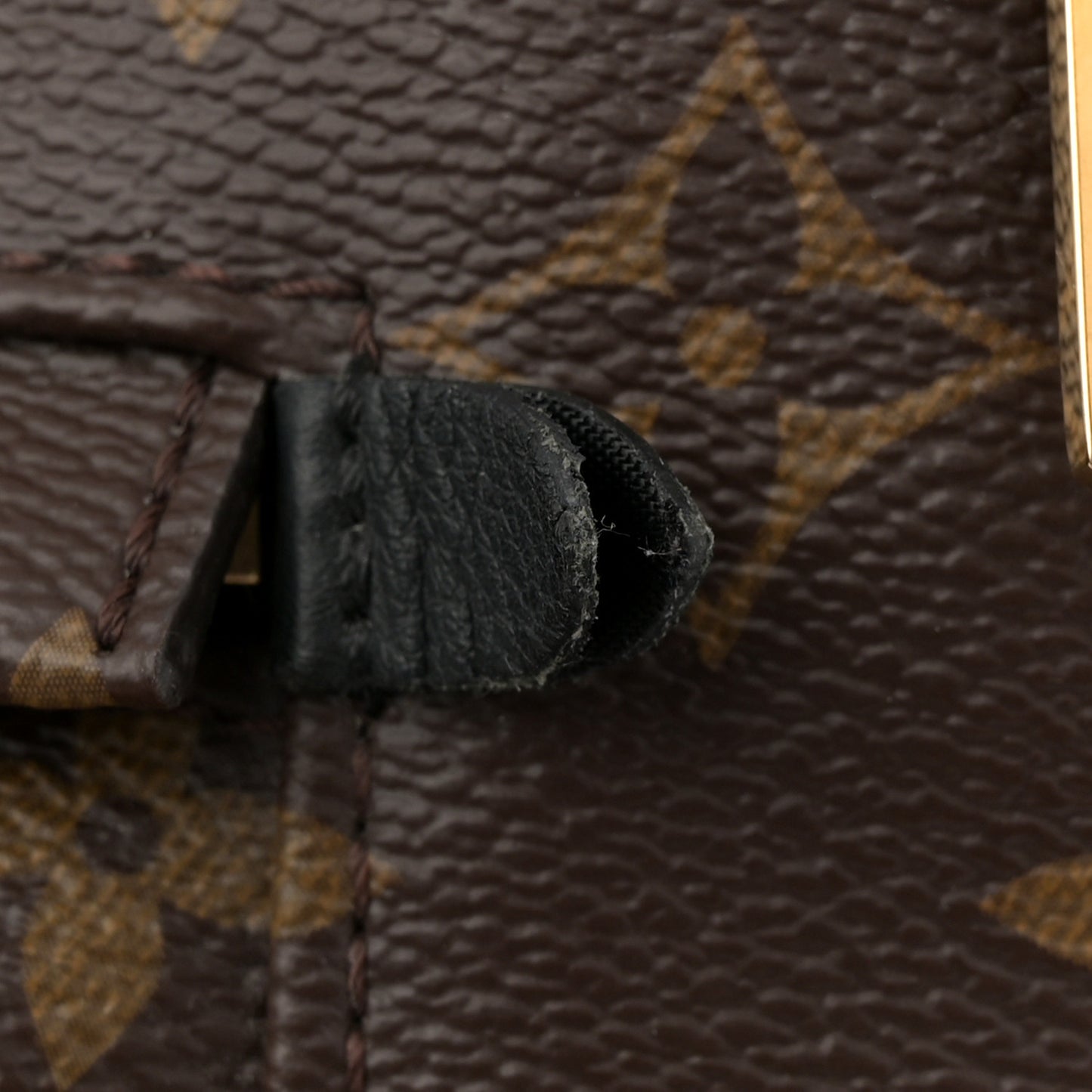 Monogram Palm Springs Backpack MM