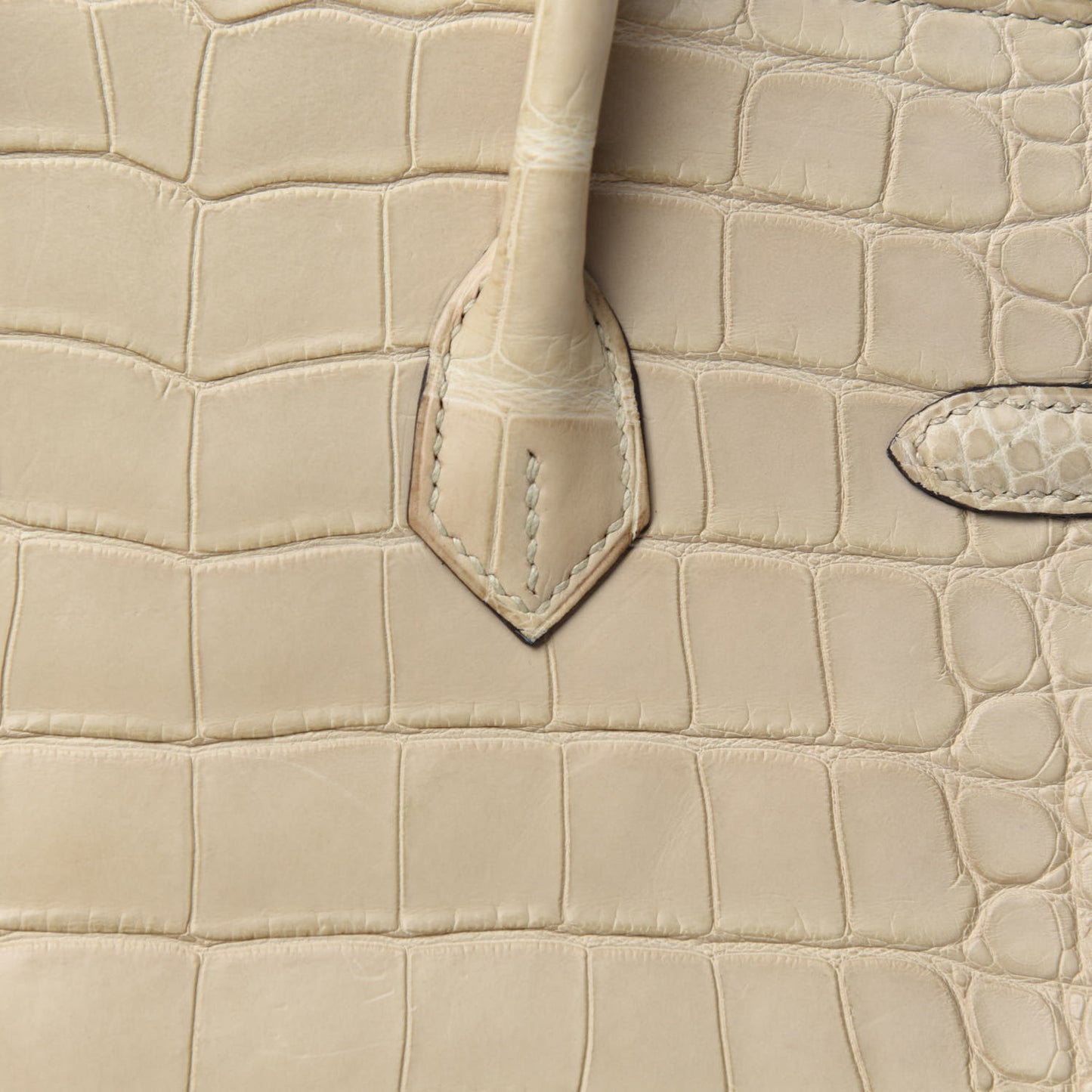 Matte Alligator Birkin 25 Trench