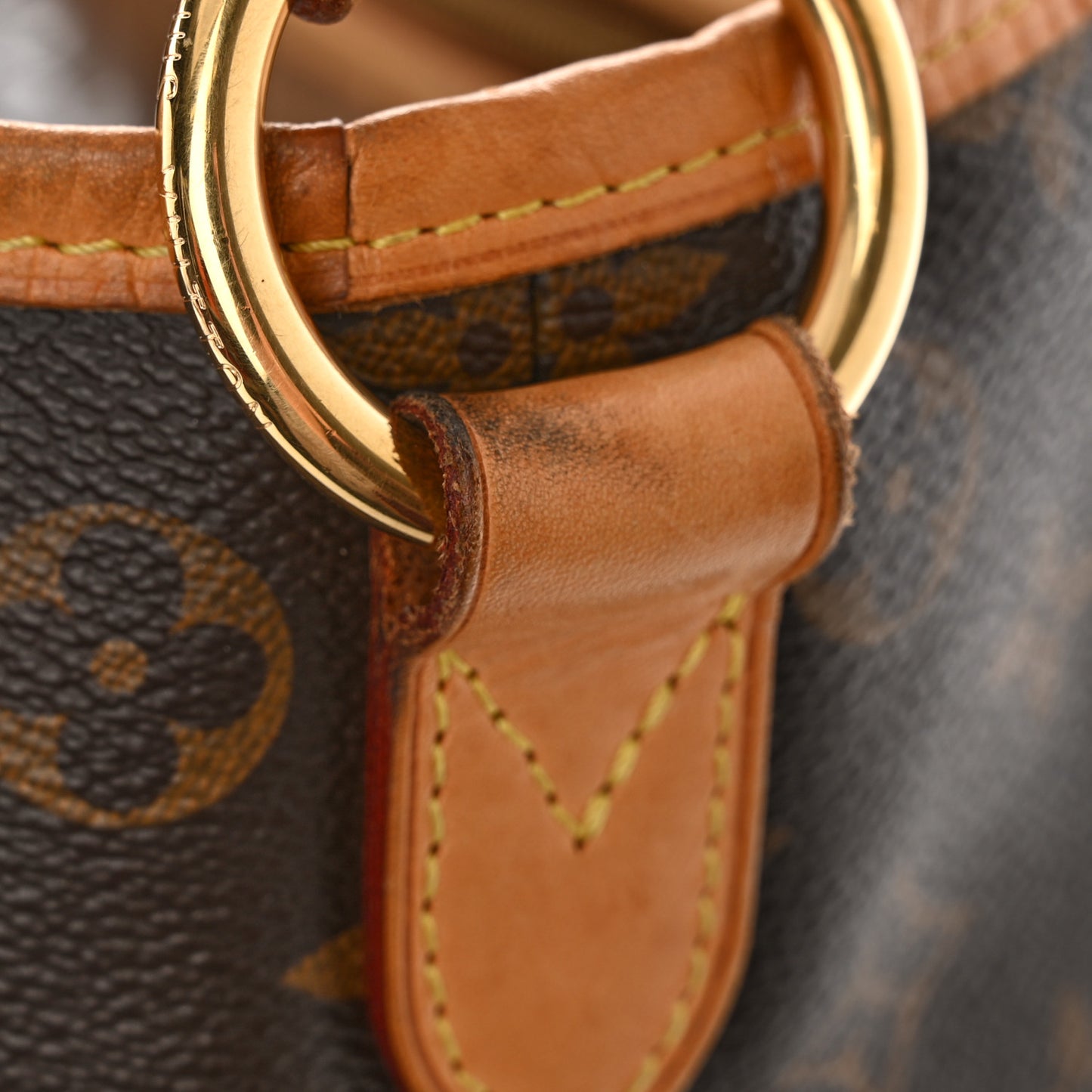 Monogram Delightful PM