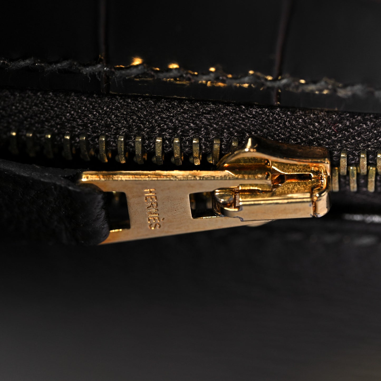 Shiny Niloticus Crocodile Kelly Sellier 28 Macassar