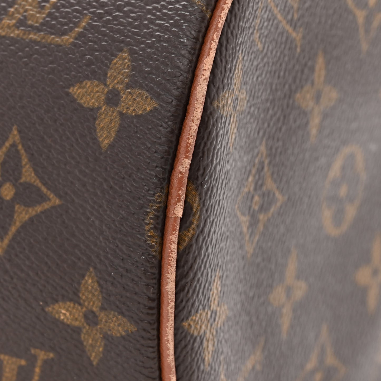 Monogram Papillon 30
