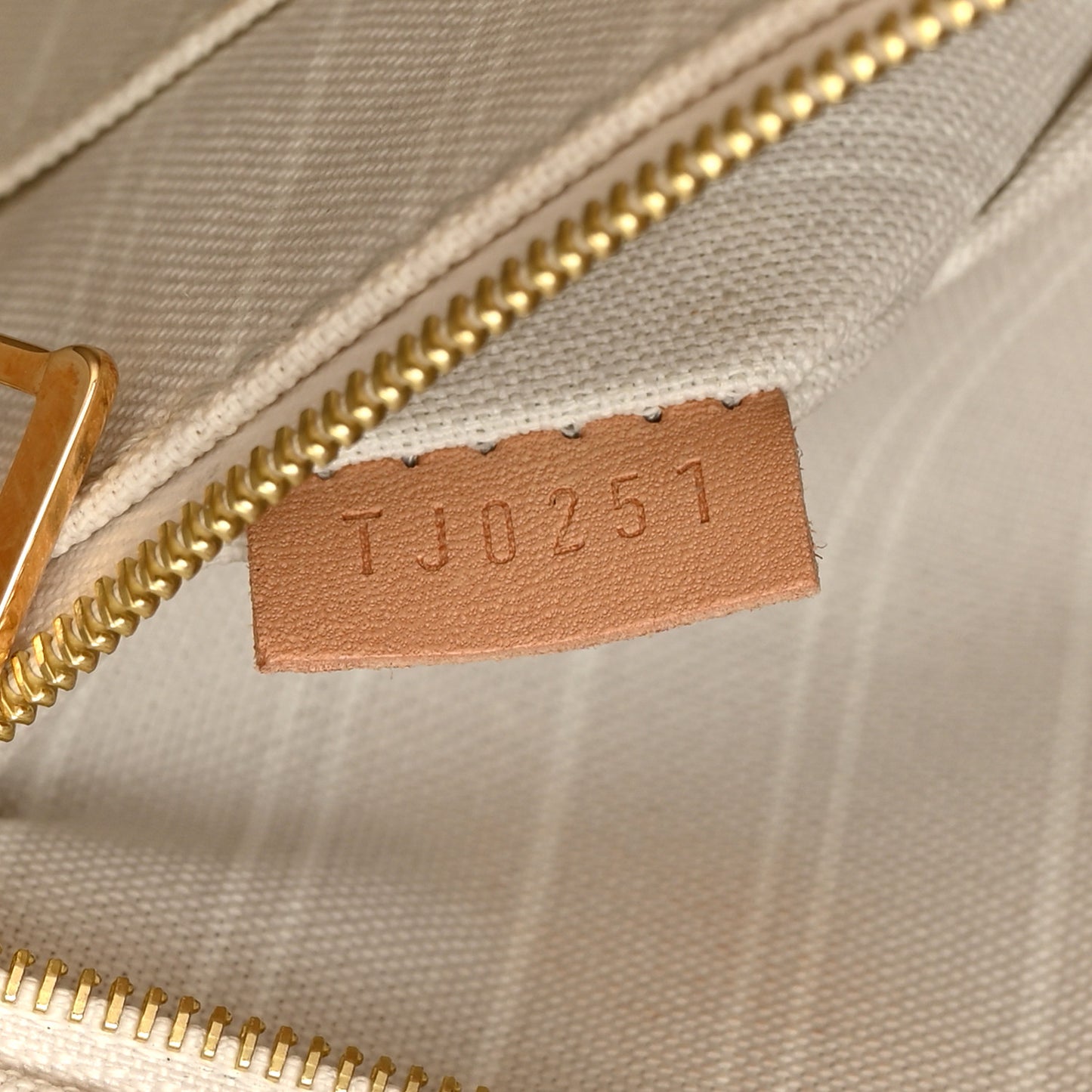 LOUIS VUITTON Monogram Giant By The Pool OnTheGo GM Brume