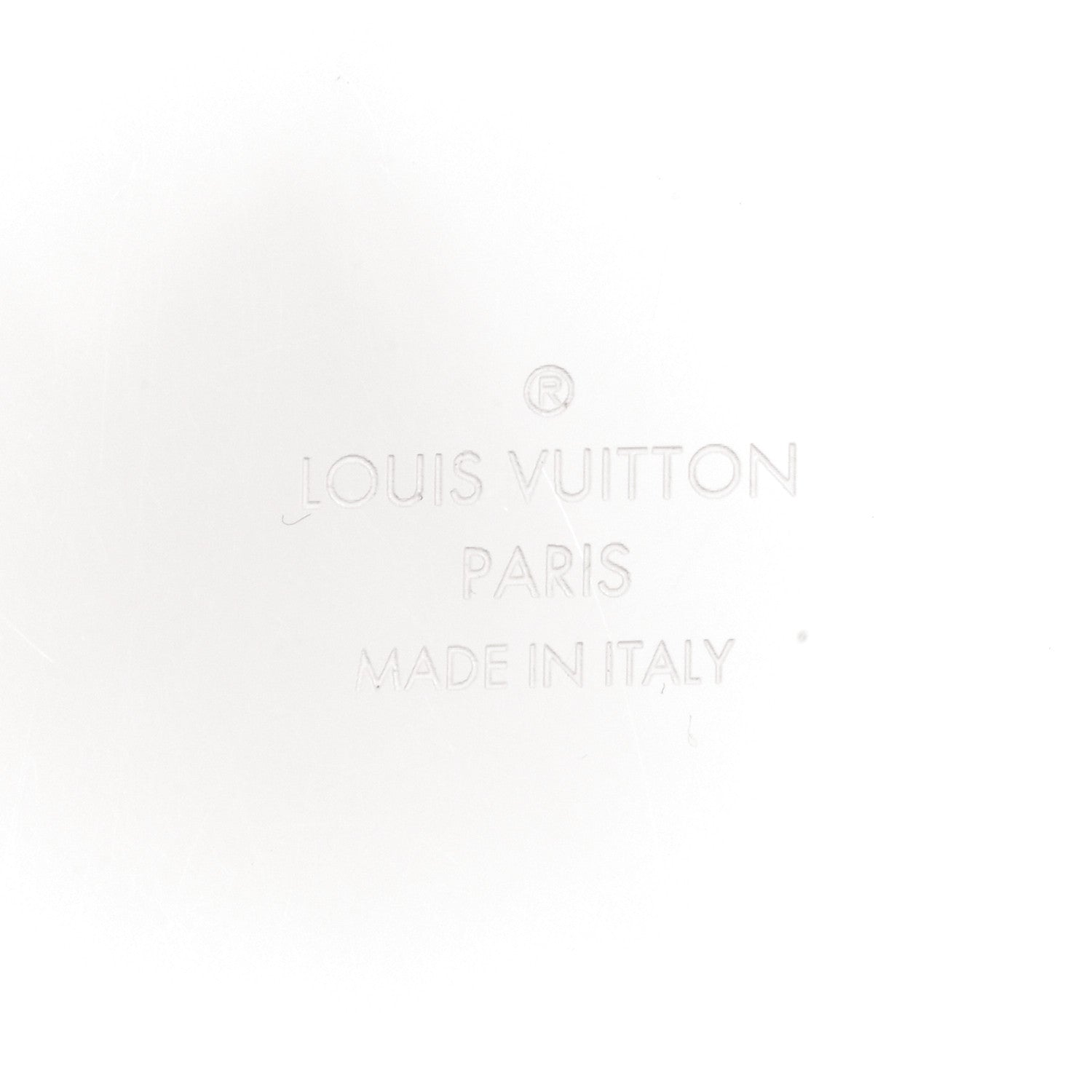 Louis Vuitton Transparent Plexiglass Box Scott Rose Ballerine 5 of 7