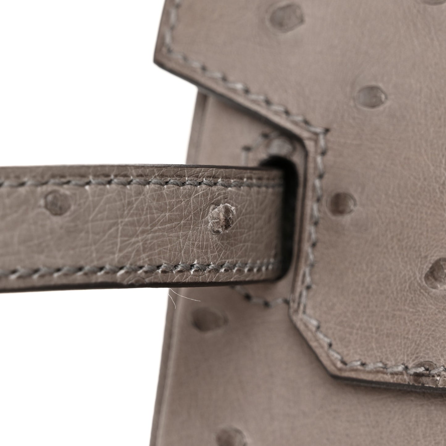 Ostrich Birkin 25 Gris Tourterelle