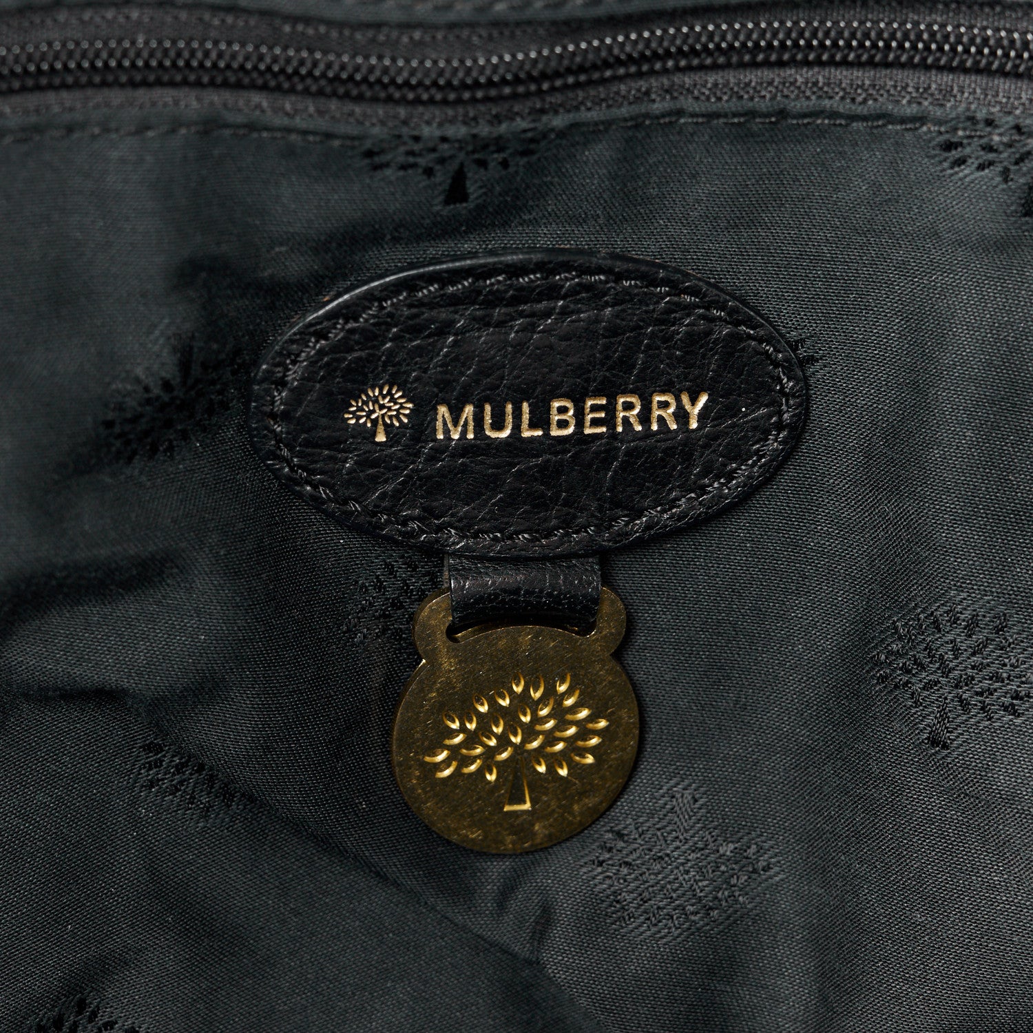Mulberry Polished Buffalo Medium Alexa Black 6 of 12