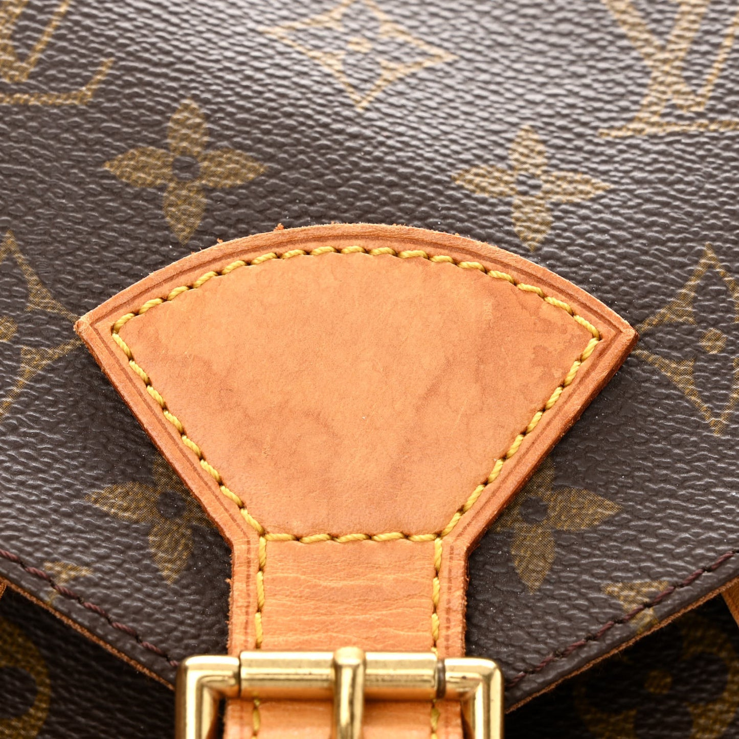 Monogram Montsouris GM Backpack