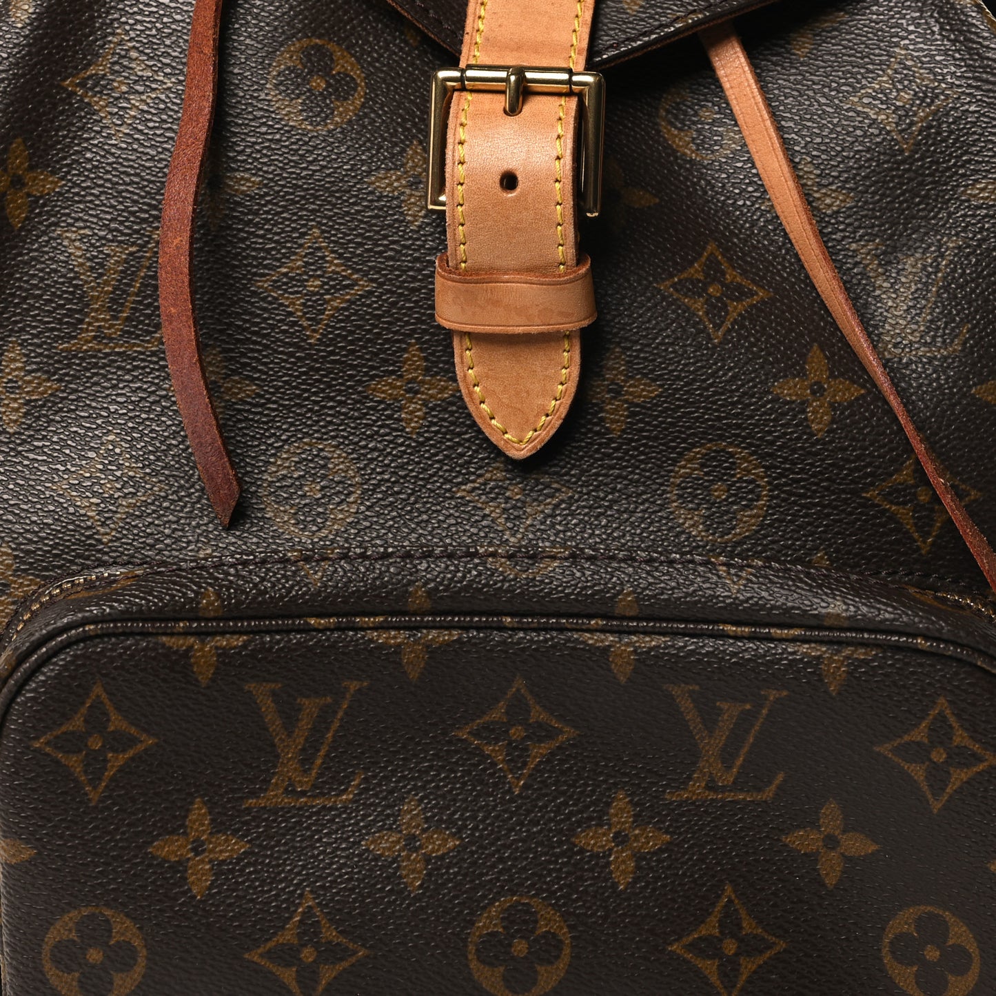Monogram Montsouris GM Backpack