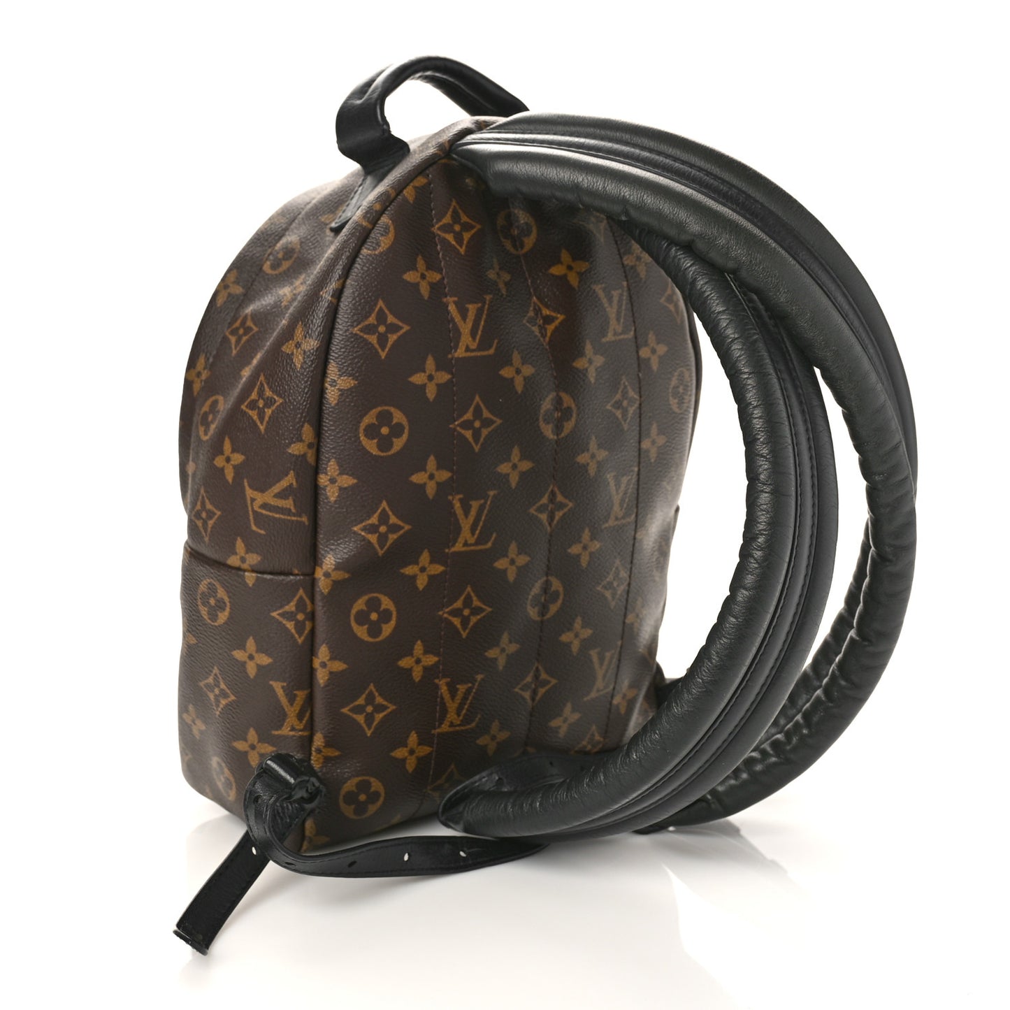 Monogram Palm Springs Backpack PM