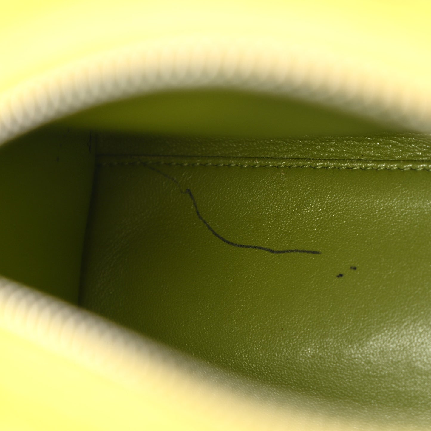 Snakeskin Medium Lady Dior Green