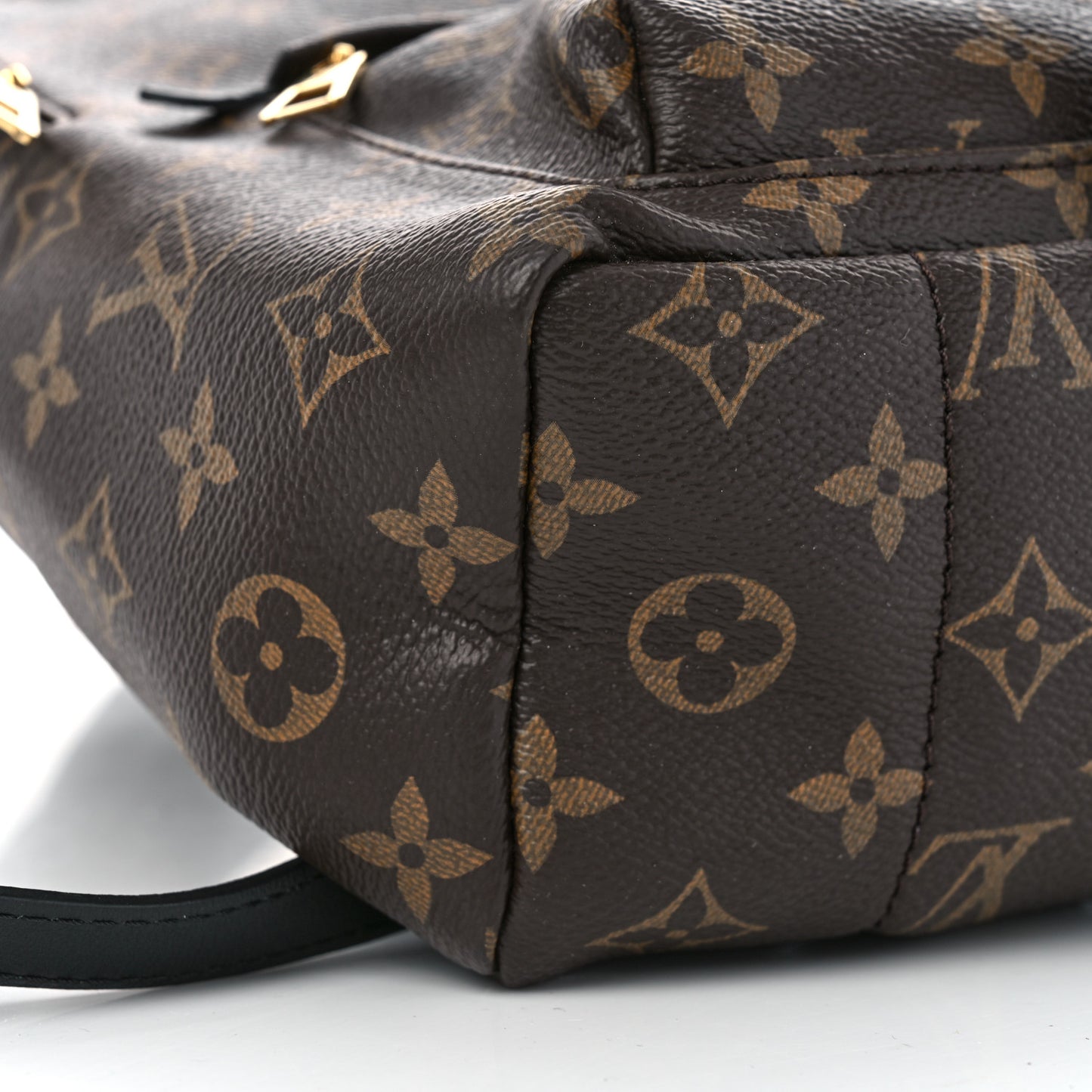Monogram Palm Springs Backpack PM