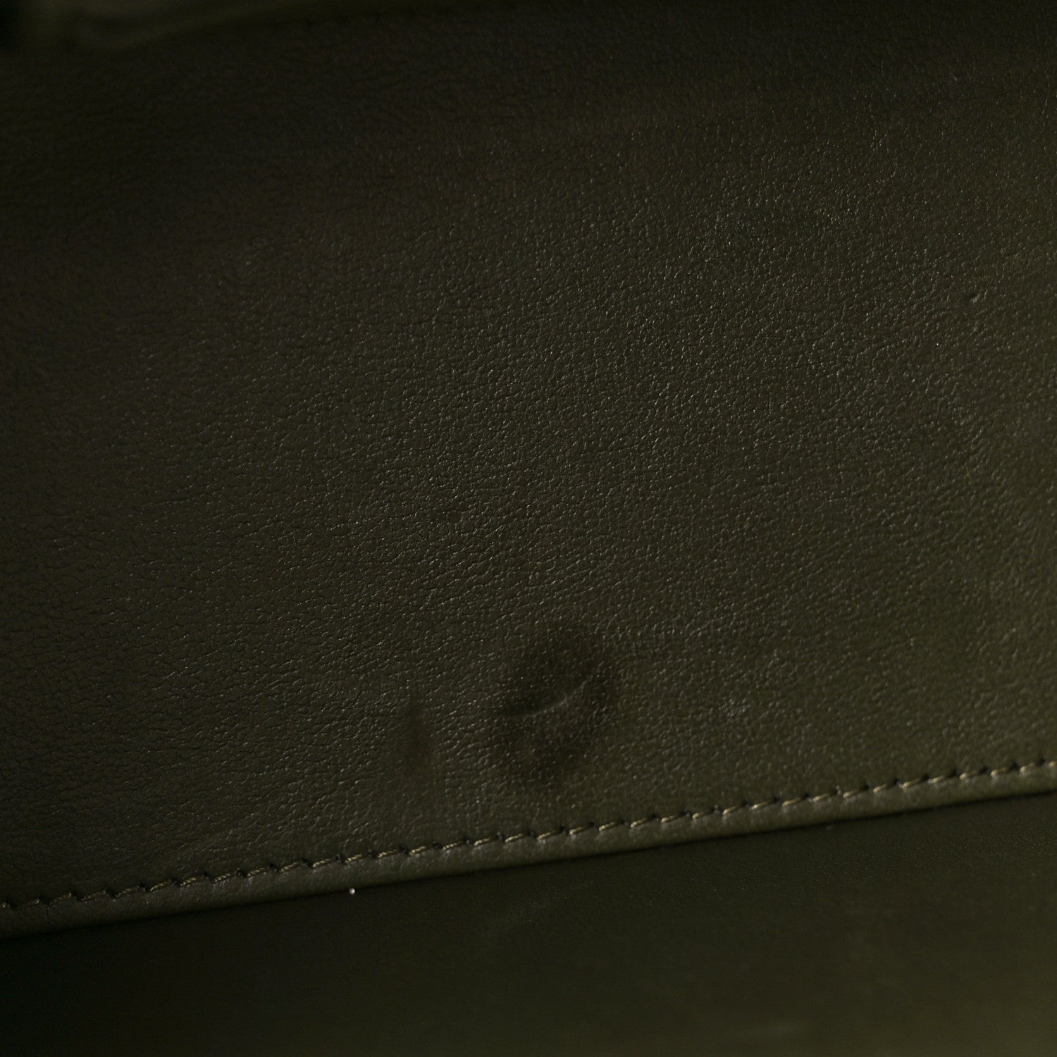 Chanel Lambskin Quilted Small Pillow Crush Vanity Case With Chain Green 11 of 12