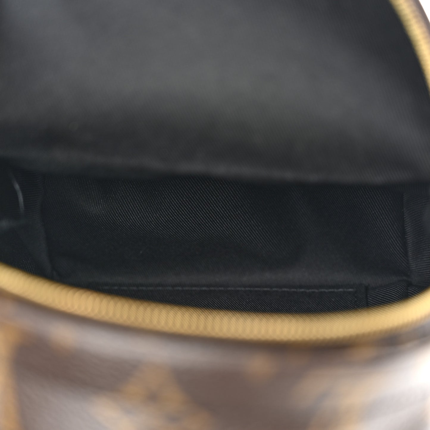 Monogram Palm Springs Backpack Mini