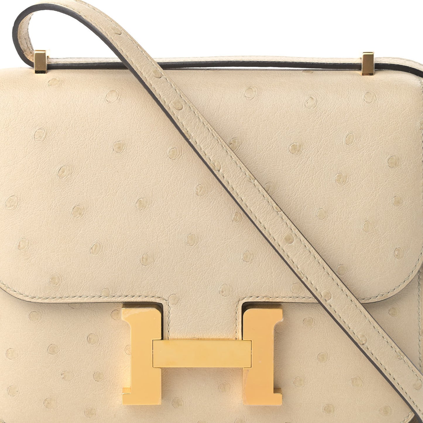 Ostrich Constance 18 Parchemin