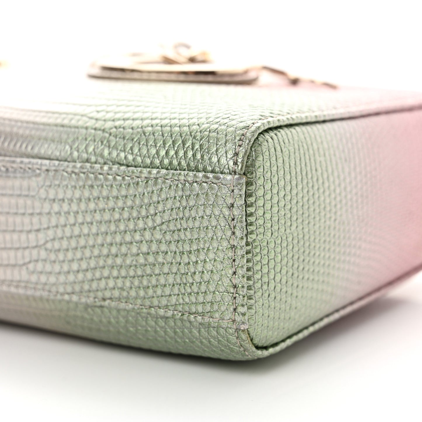 Lizard Gradient Medium Lady D-Joy Light Pink Green