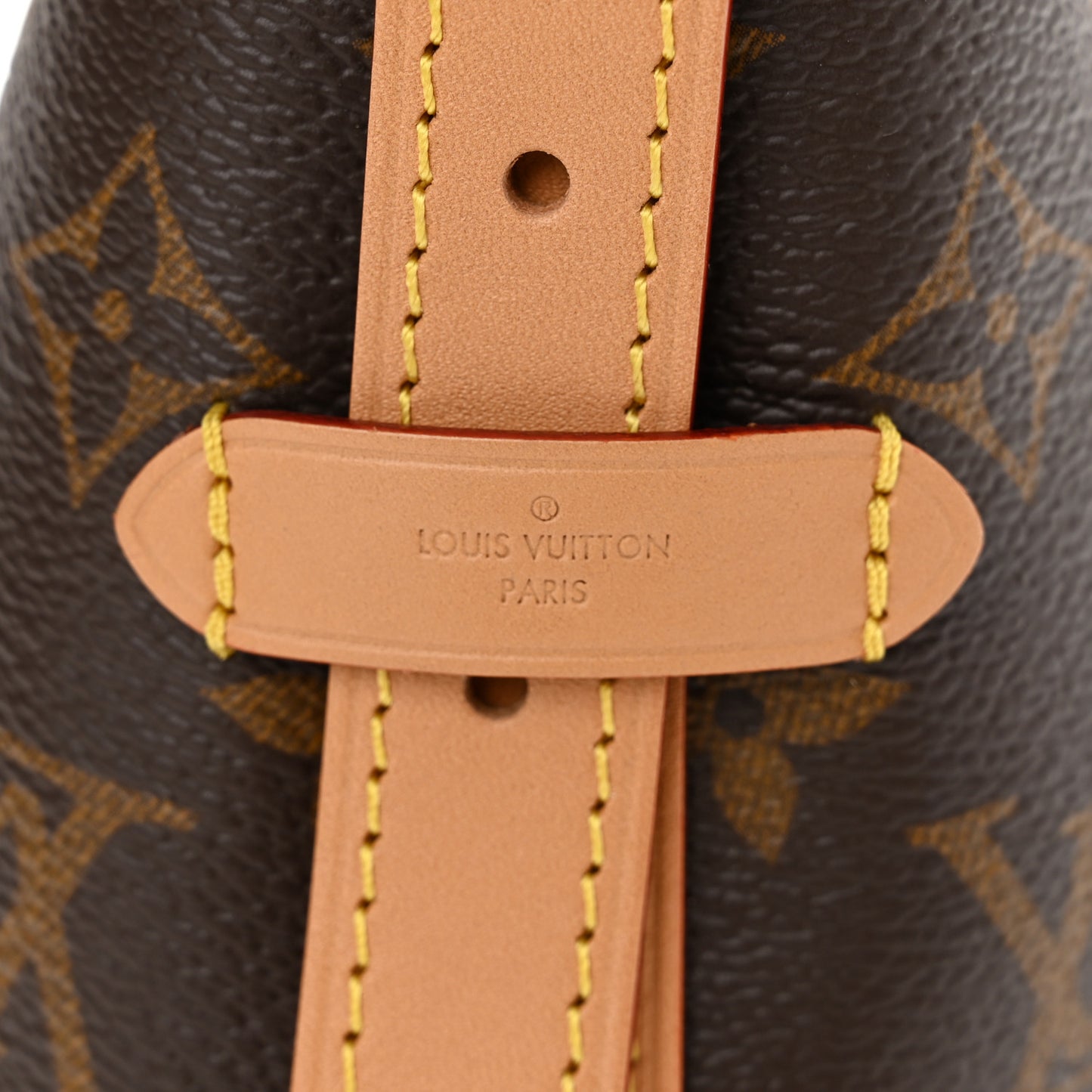 Monogram CarryAll PM