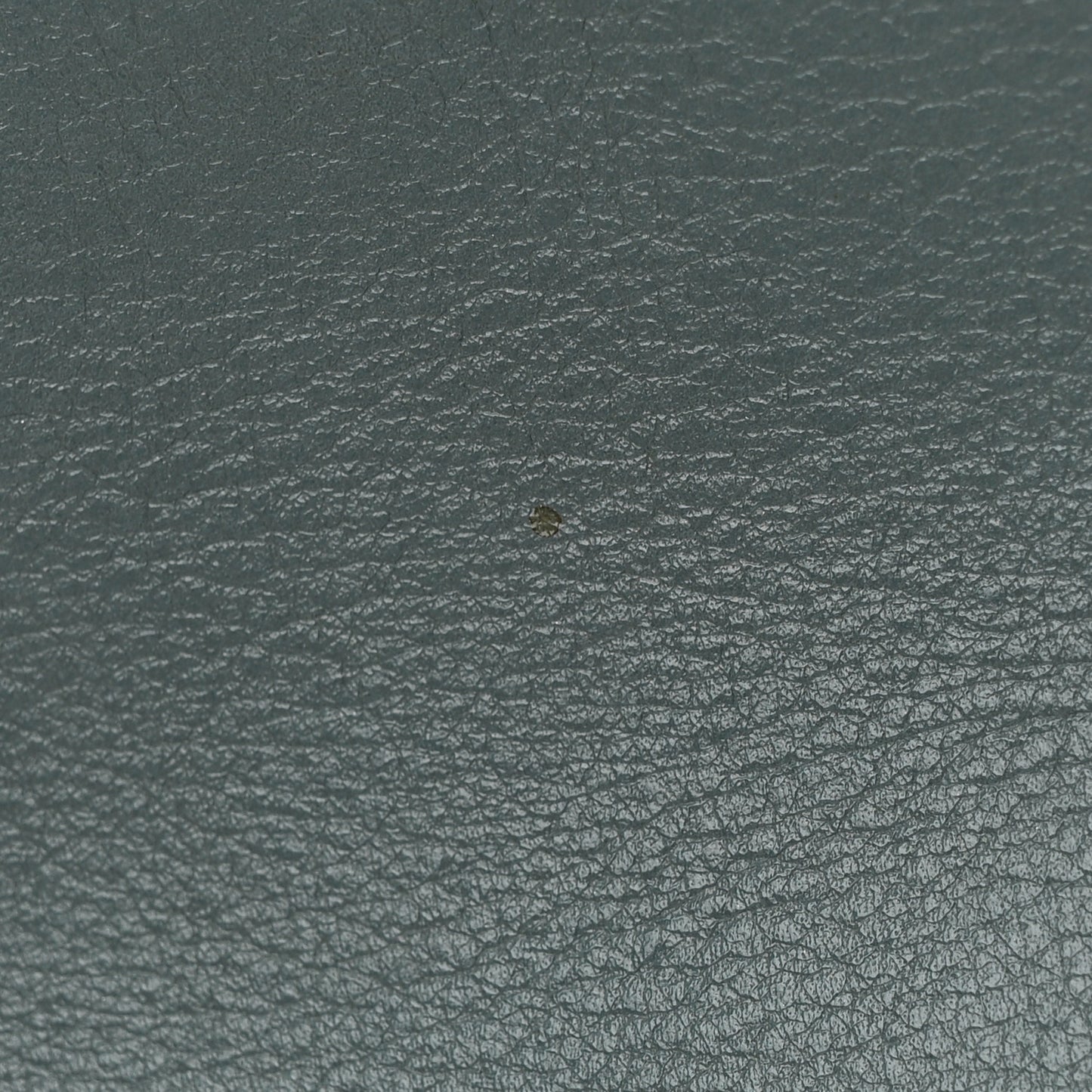 Smooth Calfskin Little Horses Embroidered Shoulder Bag Cloudy Blue