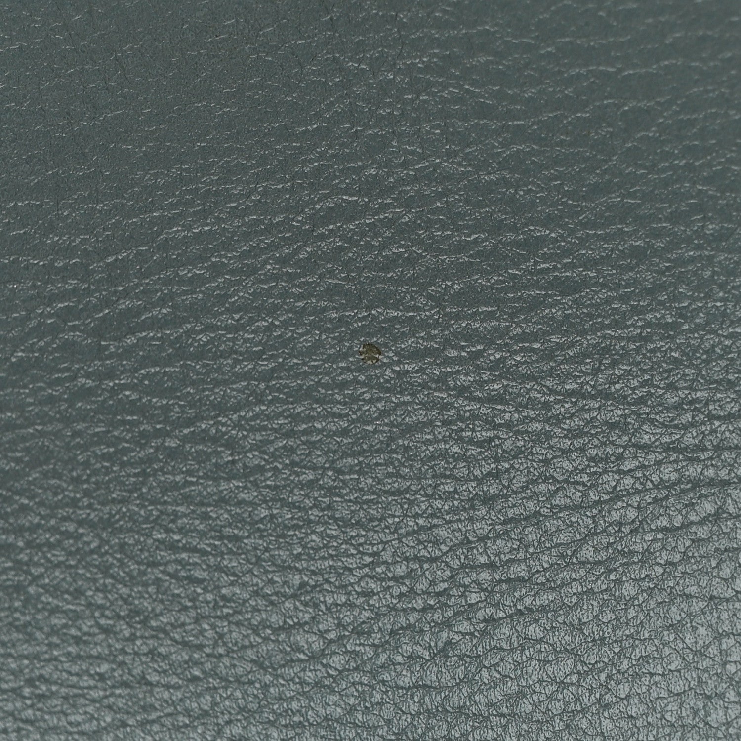 Chloe Smooth Calfskin Little Horses Embroidered Shoulder Bag Cloudy Blue 21 of 24