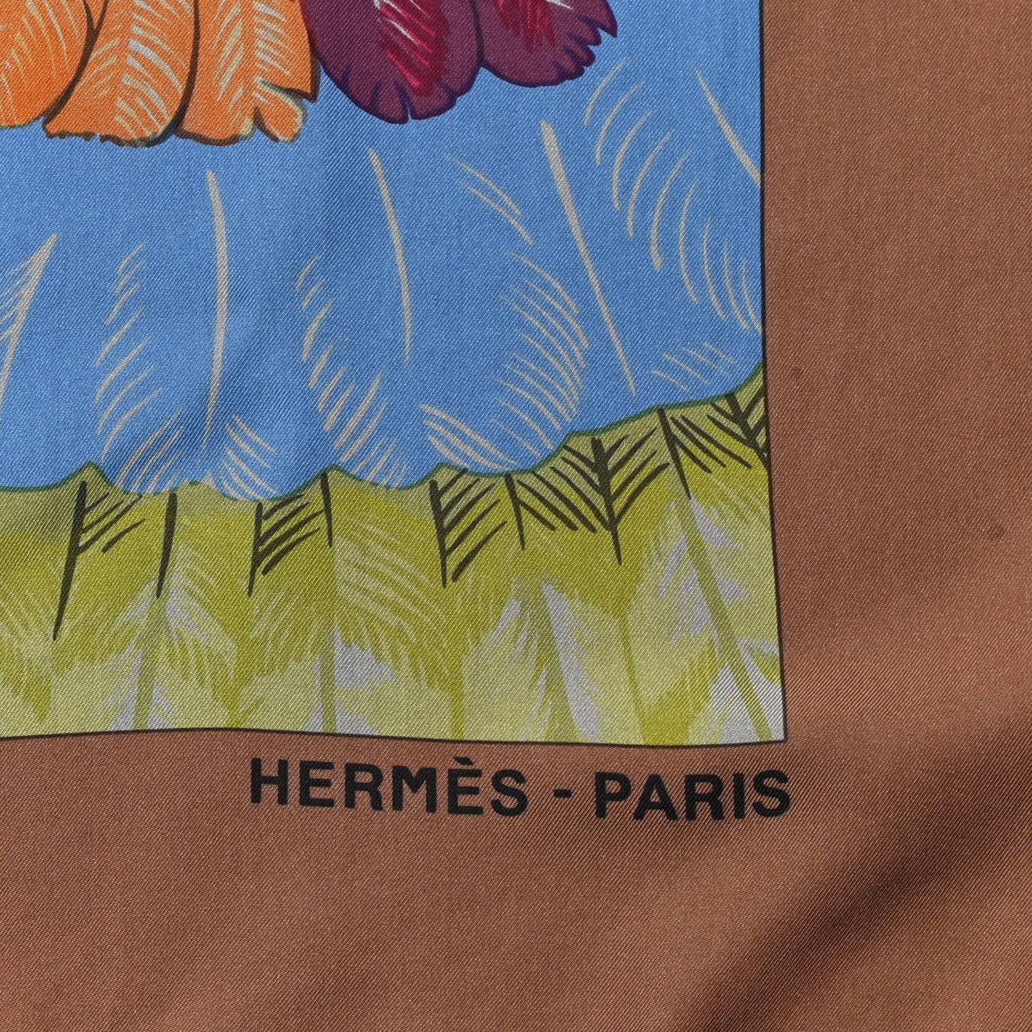 Hermes Silk Dip Dyed Brazil Shawl 140 3 of 6