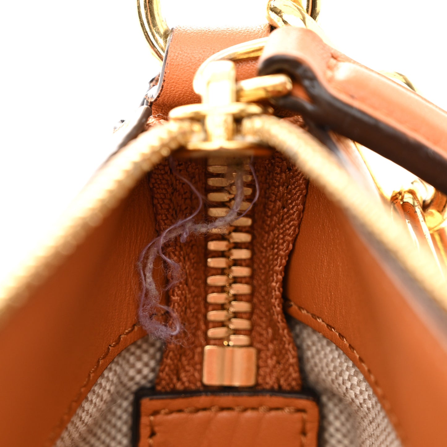 Visetos Nappa Mini Delmy Chain Shoulder Bag Cognac