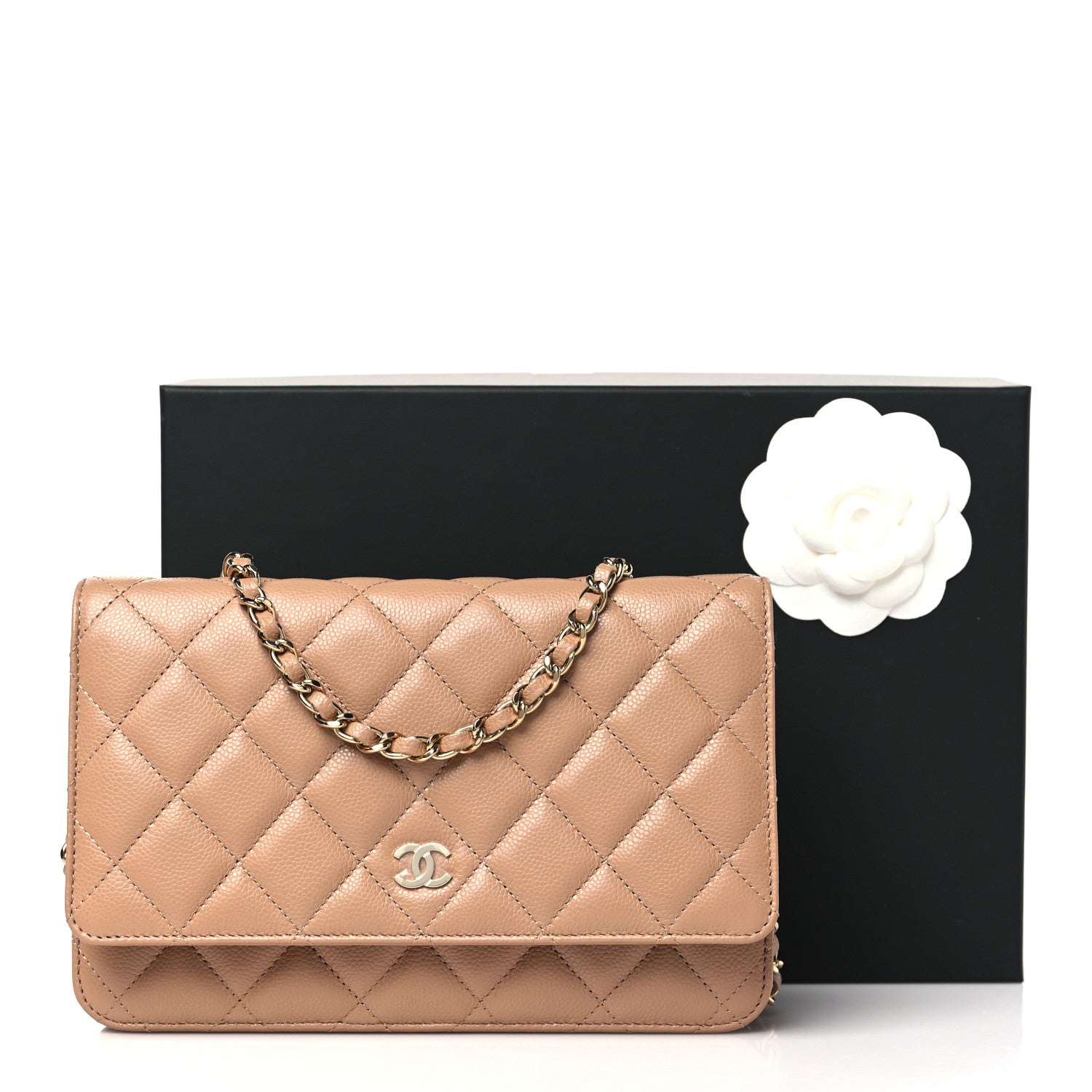 Chanel Caviar Quilted Wallet on Chain WOC Dark Beige 12 of 12