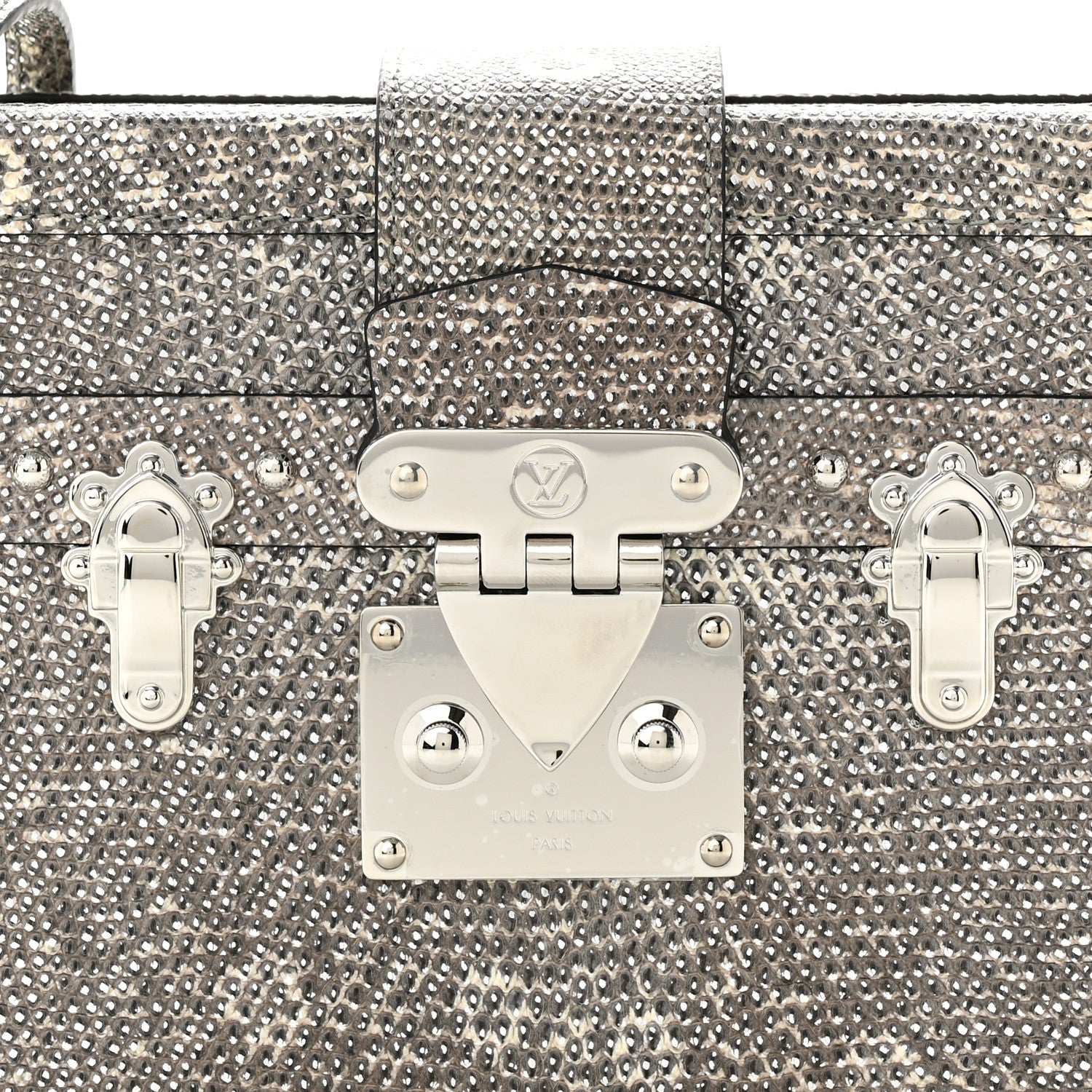 Louis Vuitton Lizard Petite Malle Silver 7 of 10