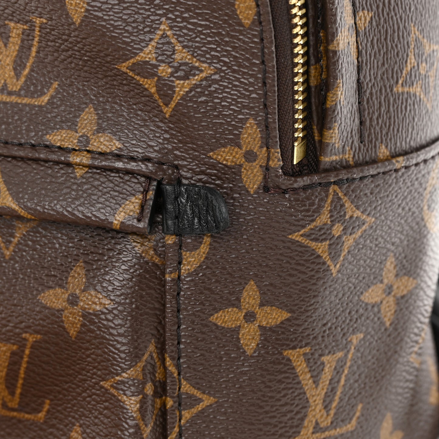 Monogram Palm Springs Backpack PM
