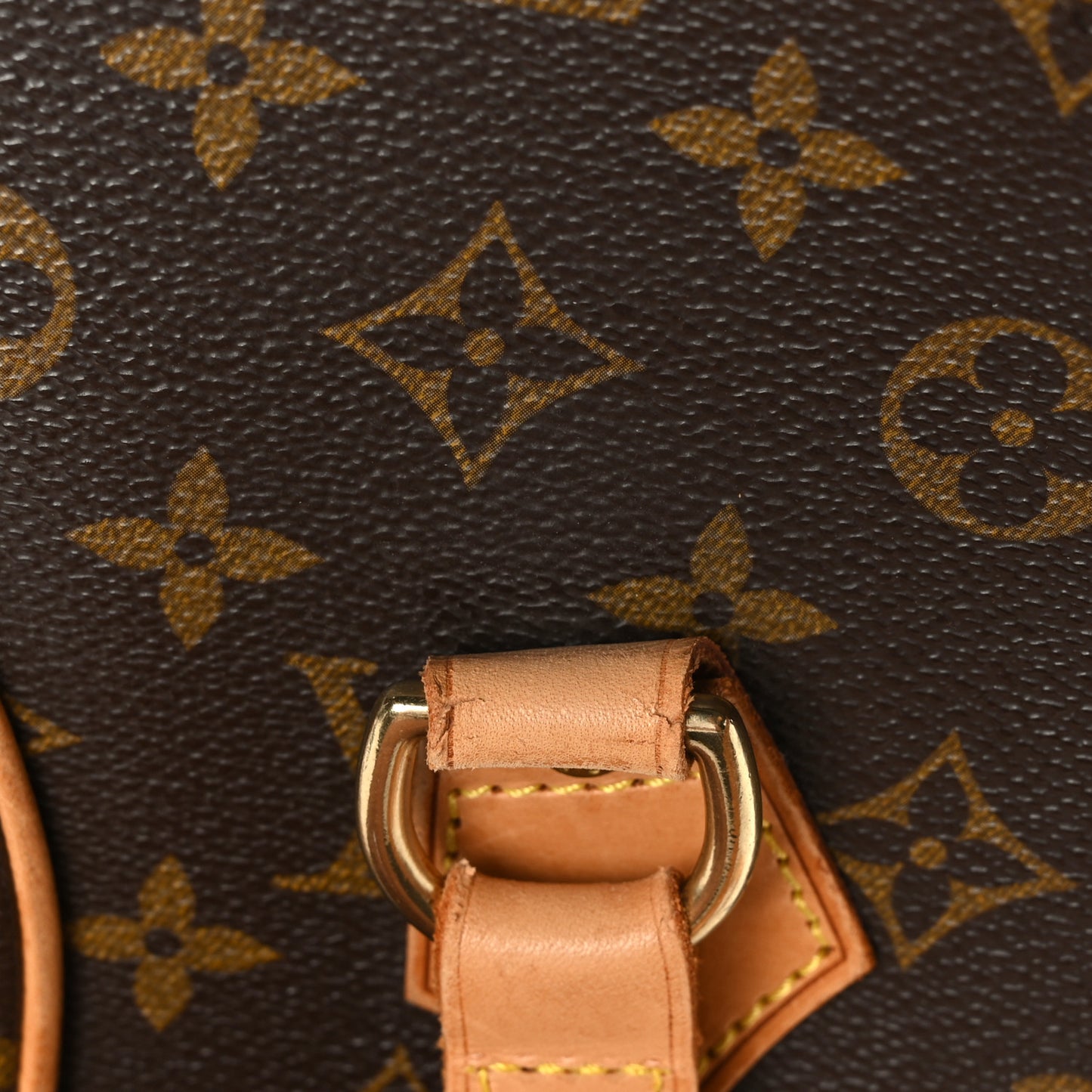 Monogram Ellipse GM Shopping Bag