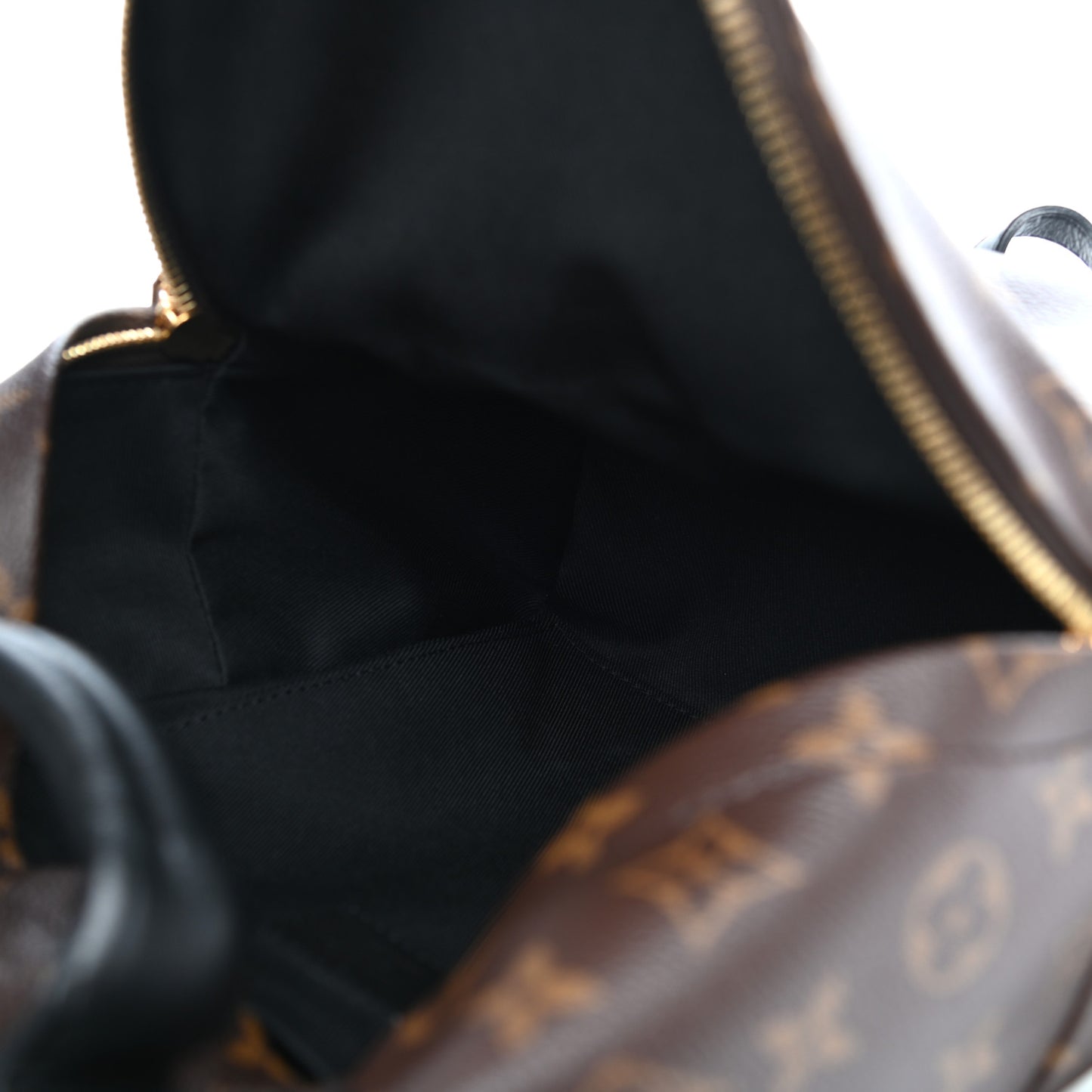 Monogram Palm Springs Backpack PM