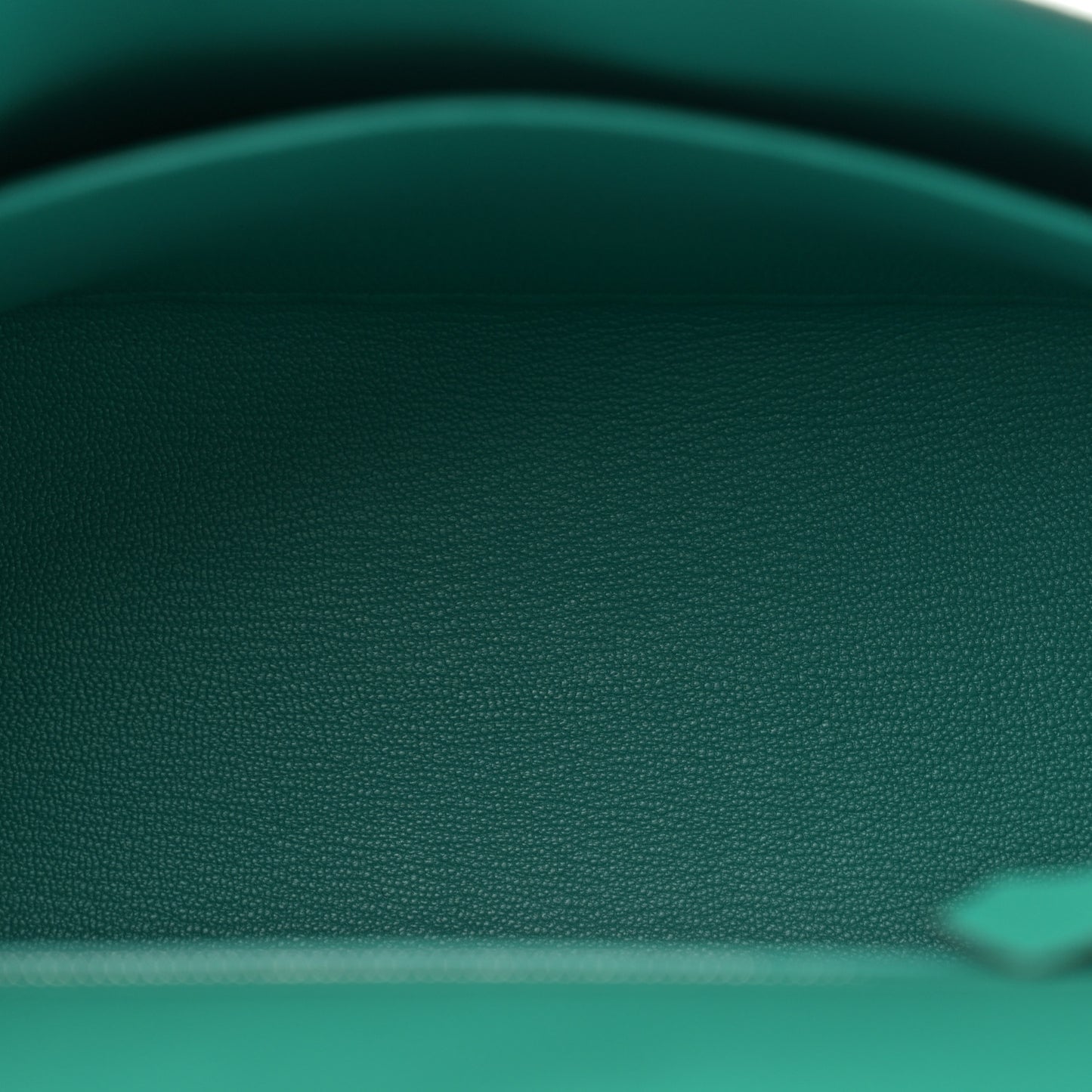 Madame Calfskin Matte Alligator Kelly Sellier Touch 25 Vert Verone Vert Jade