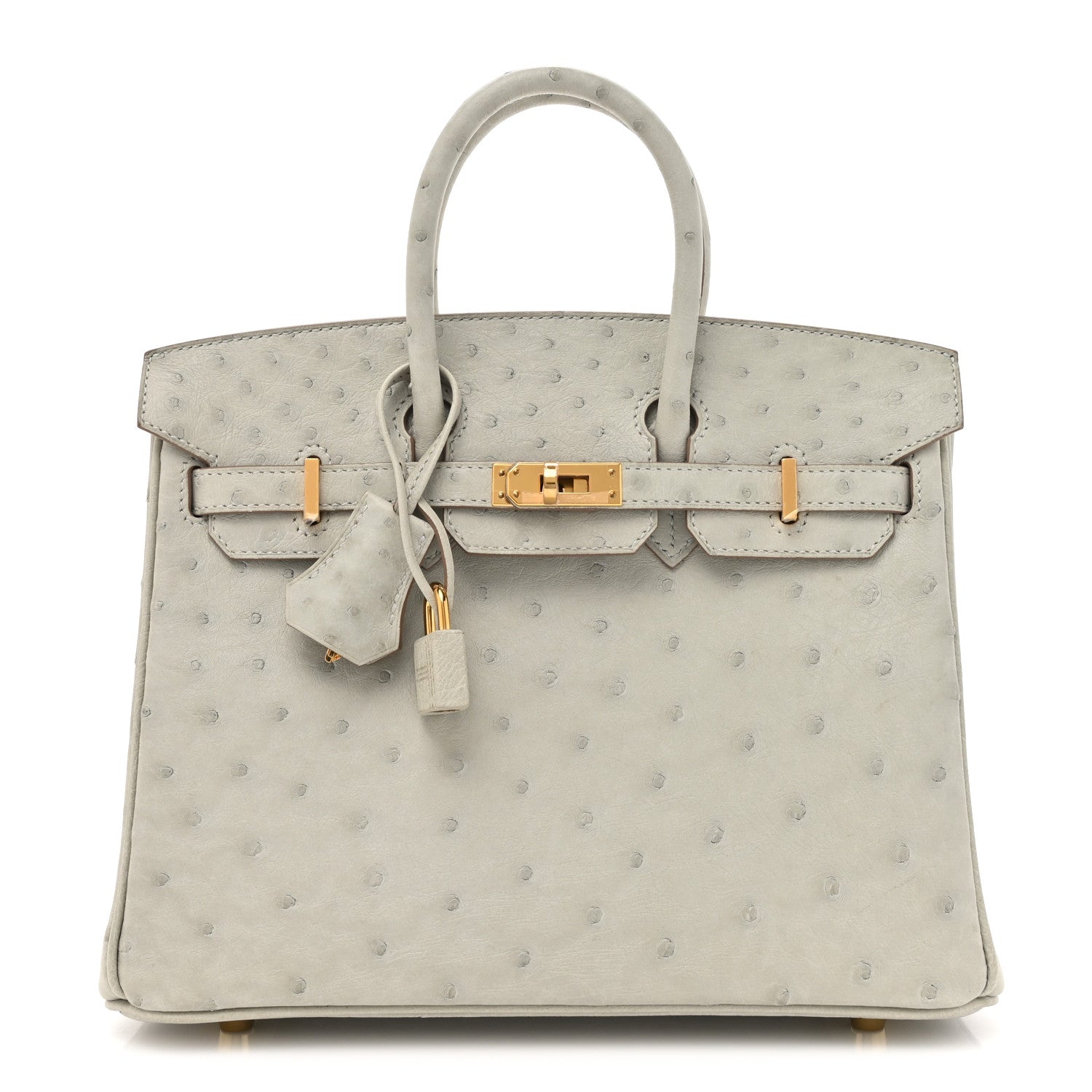 Hermes Ostrich Birkin 25 Gris Perle 1 of 11