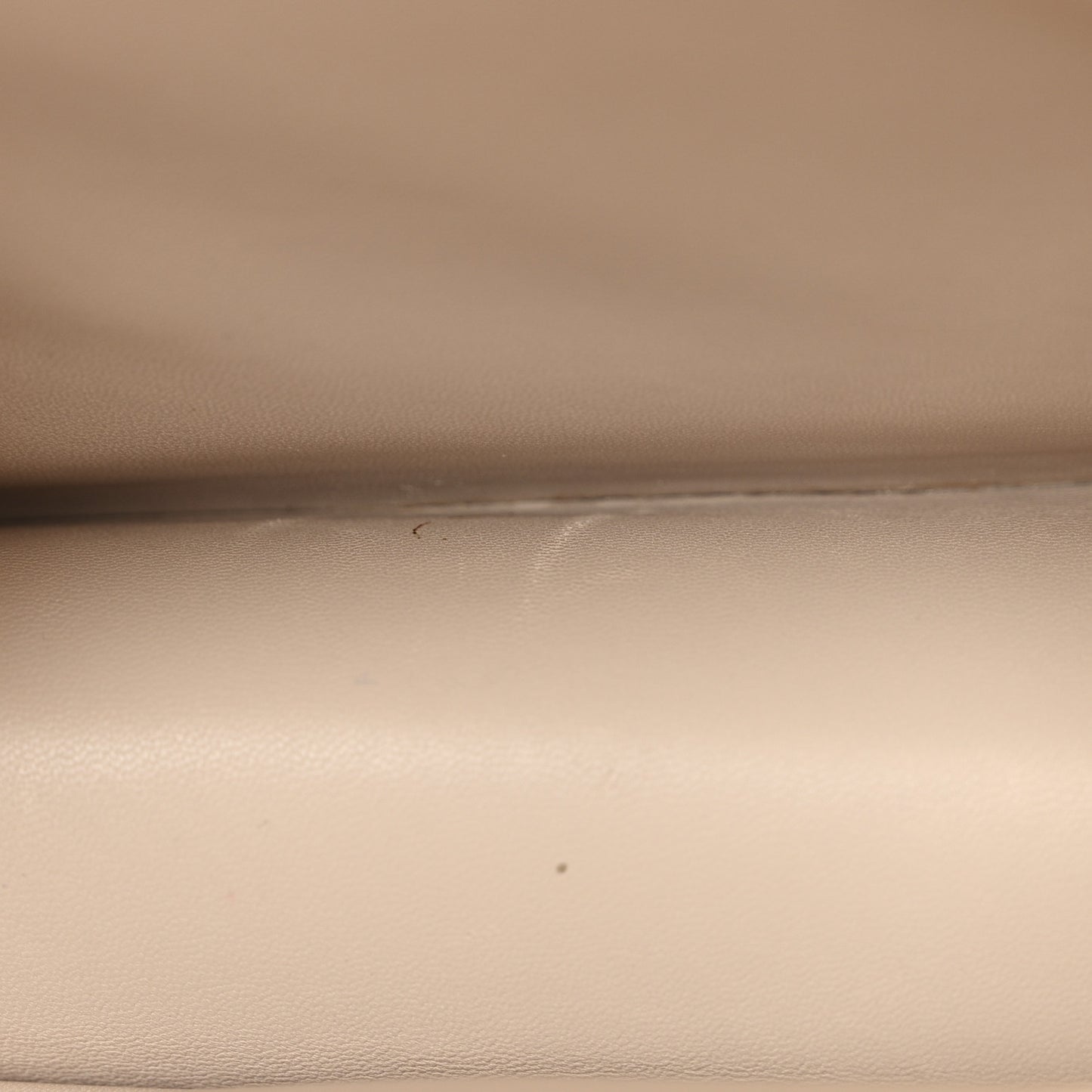 Grained Calfskin Medium Diorama Flap Bag Yellow