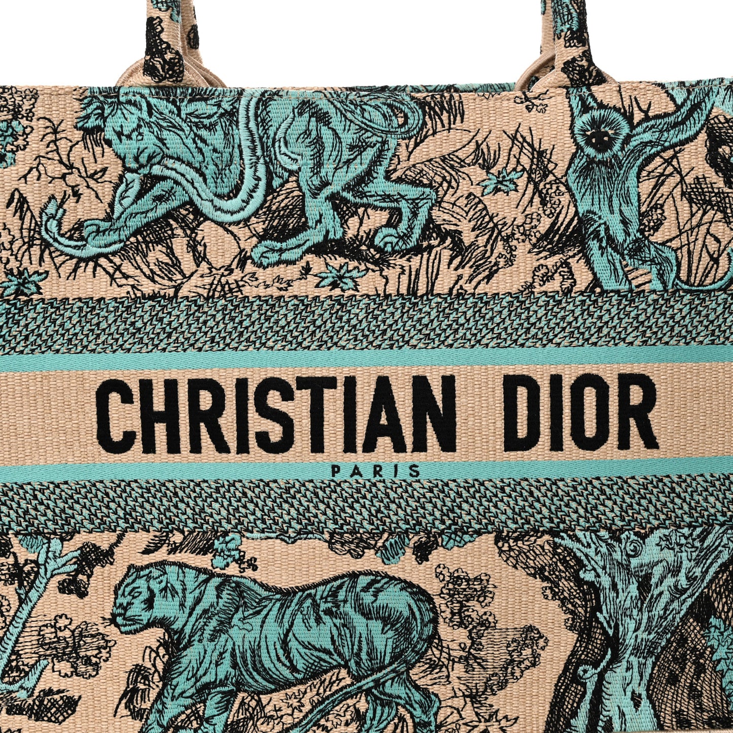 Raffia Embroidered Dioriviera Medium Book Tote Aquamarina
