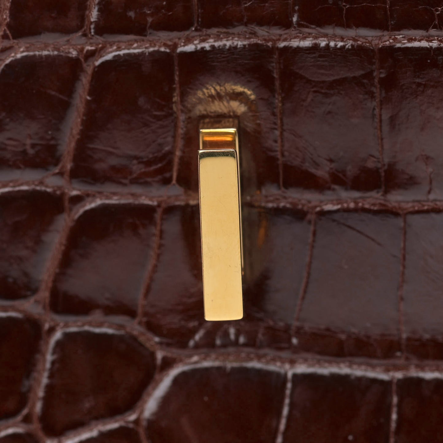 Shiny Niloticus Crocodile Birkin 25 Miel