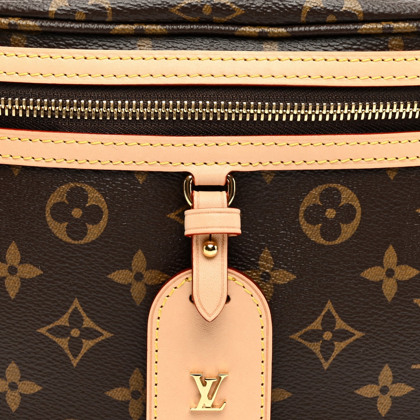 Monogram High Rise Bumbag