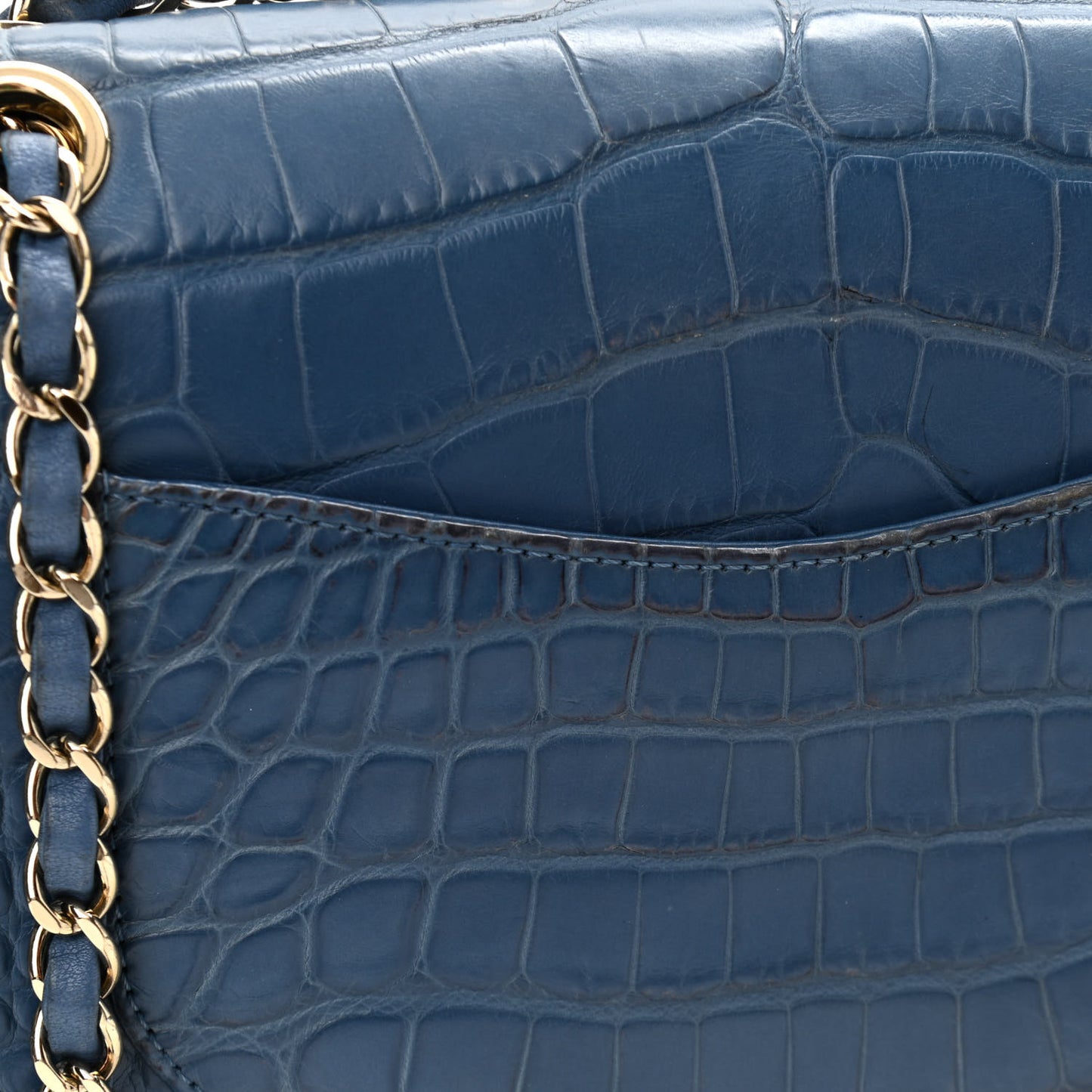 Alligator Medium Double Flap Blue