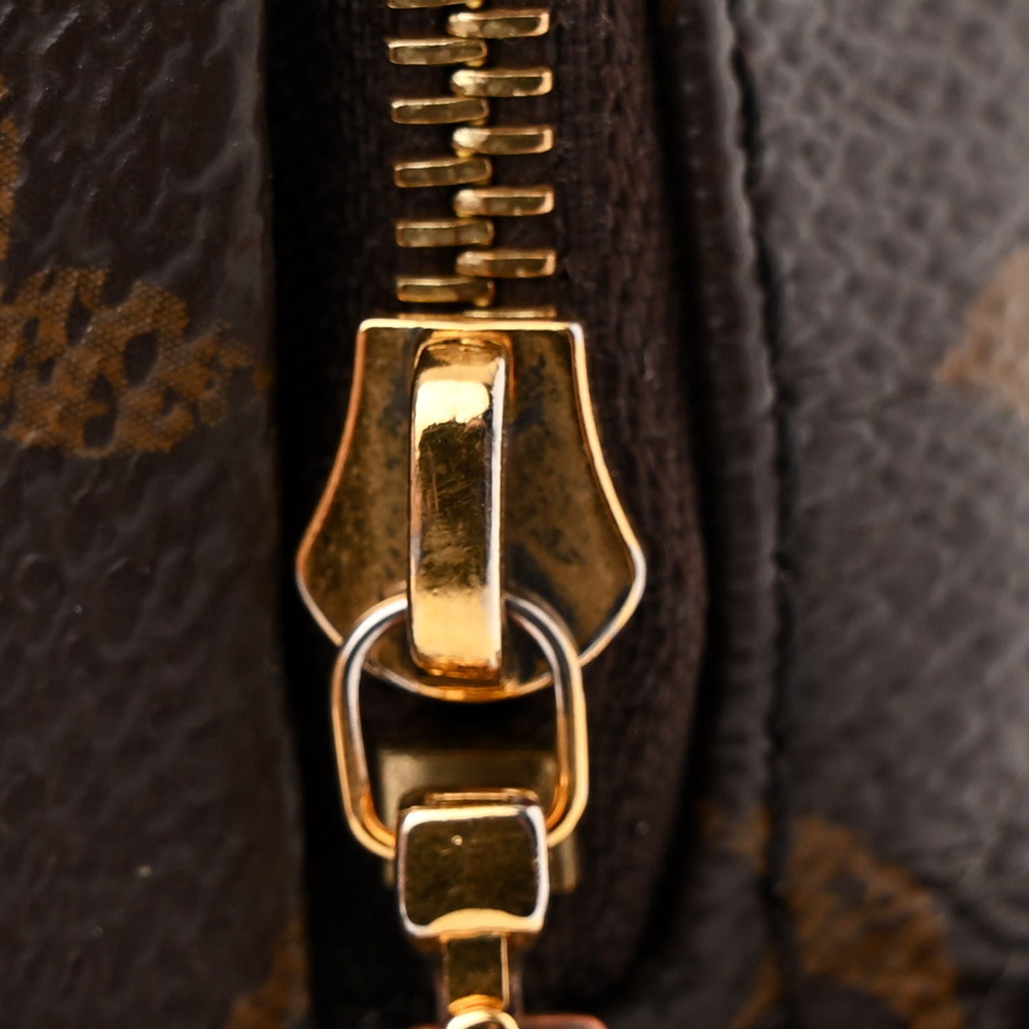 Monogram Palm Springs Backpack Mini
