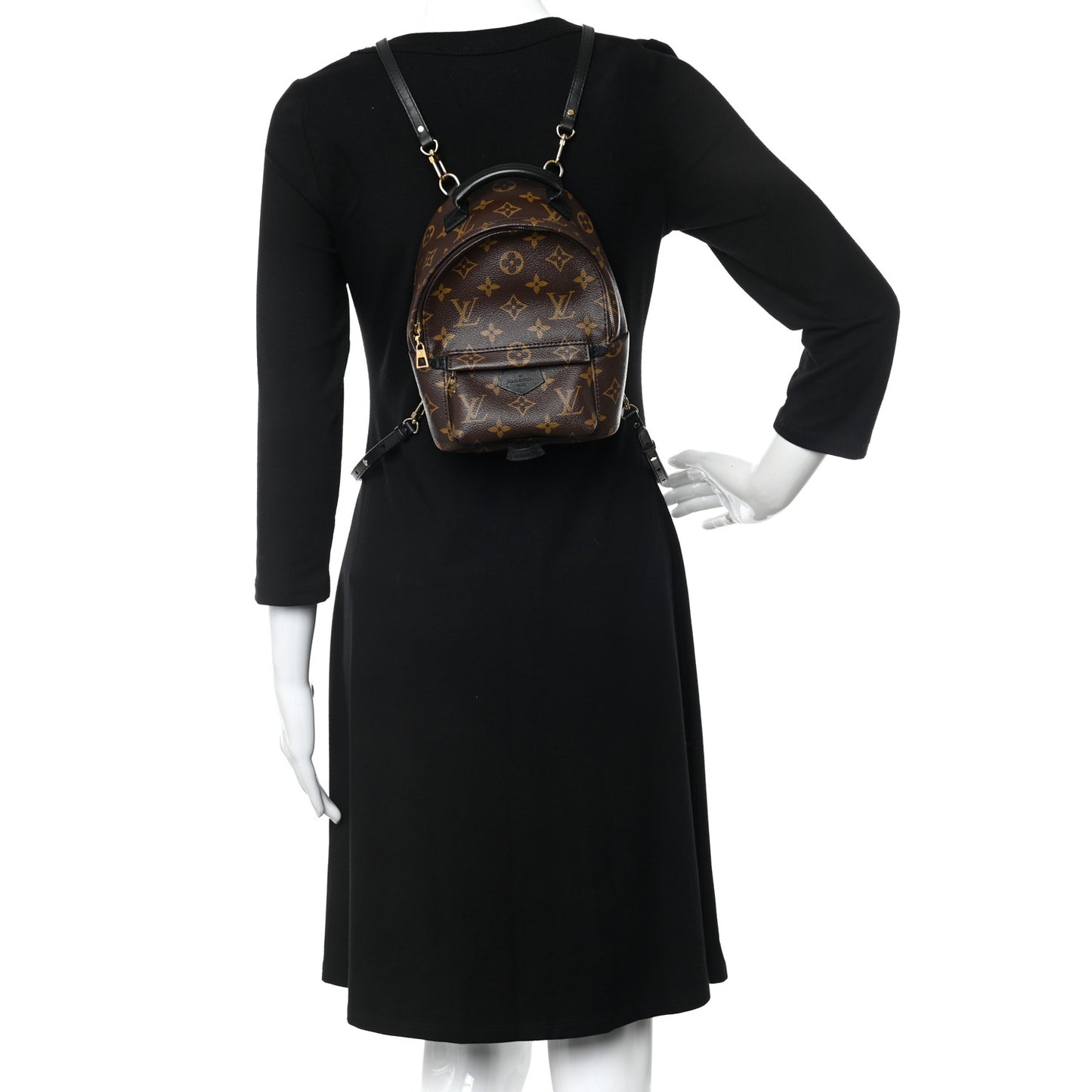 Monogram Palm Springs Backpack Mini