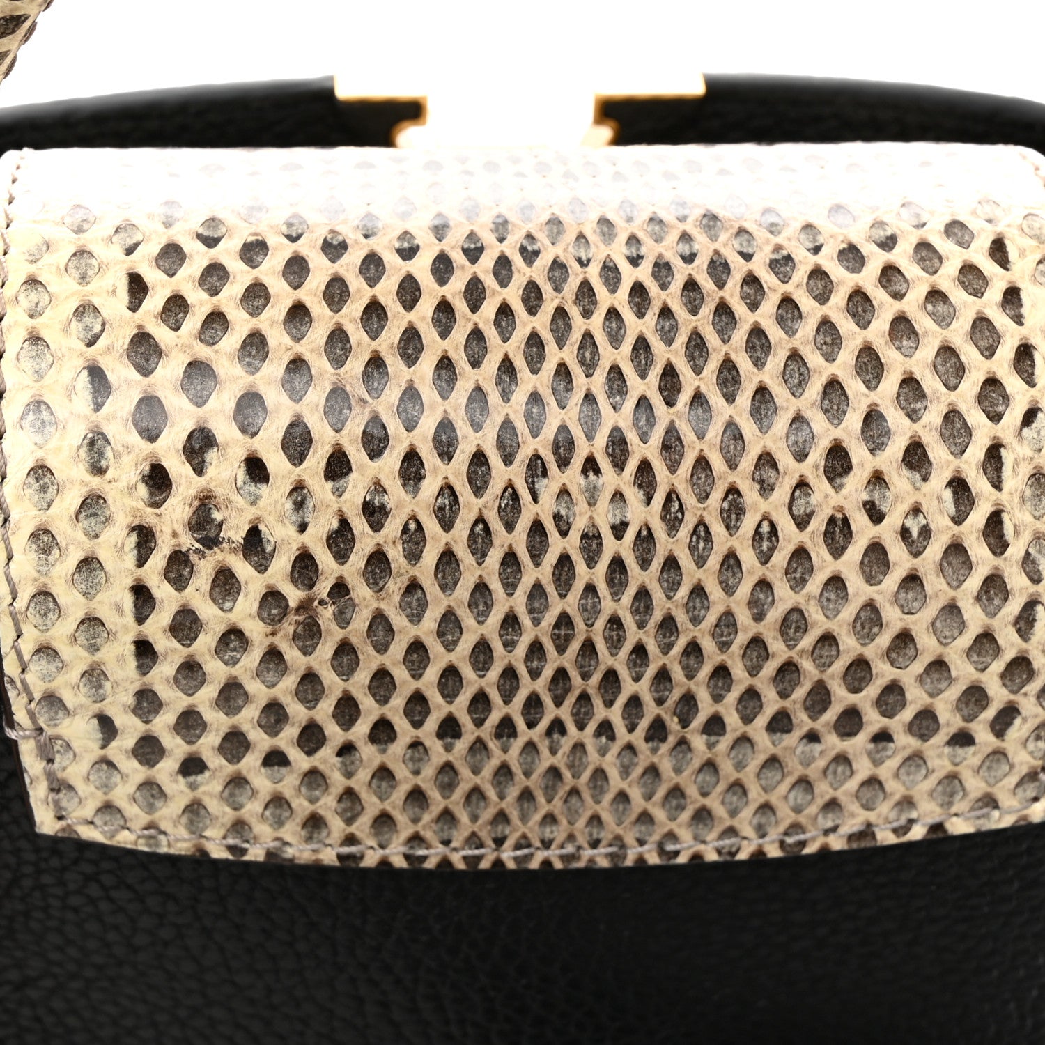 Louis Vuitton Taurillon Ayers Mini Capucines Black 12 of 12