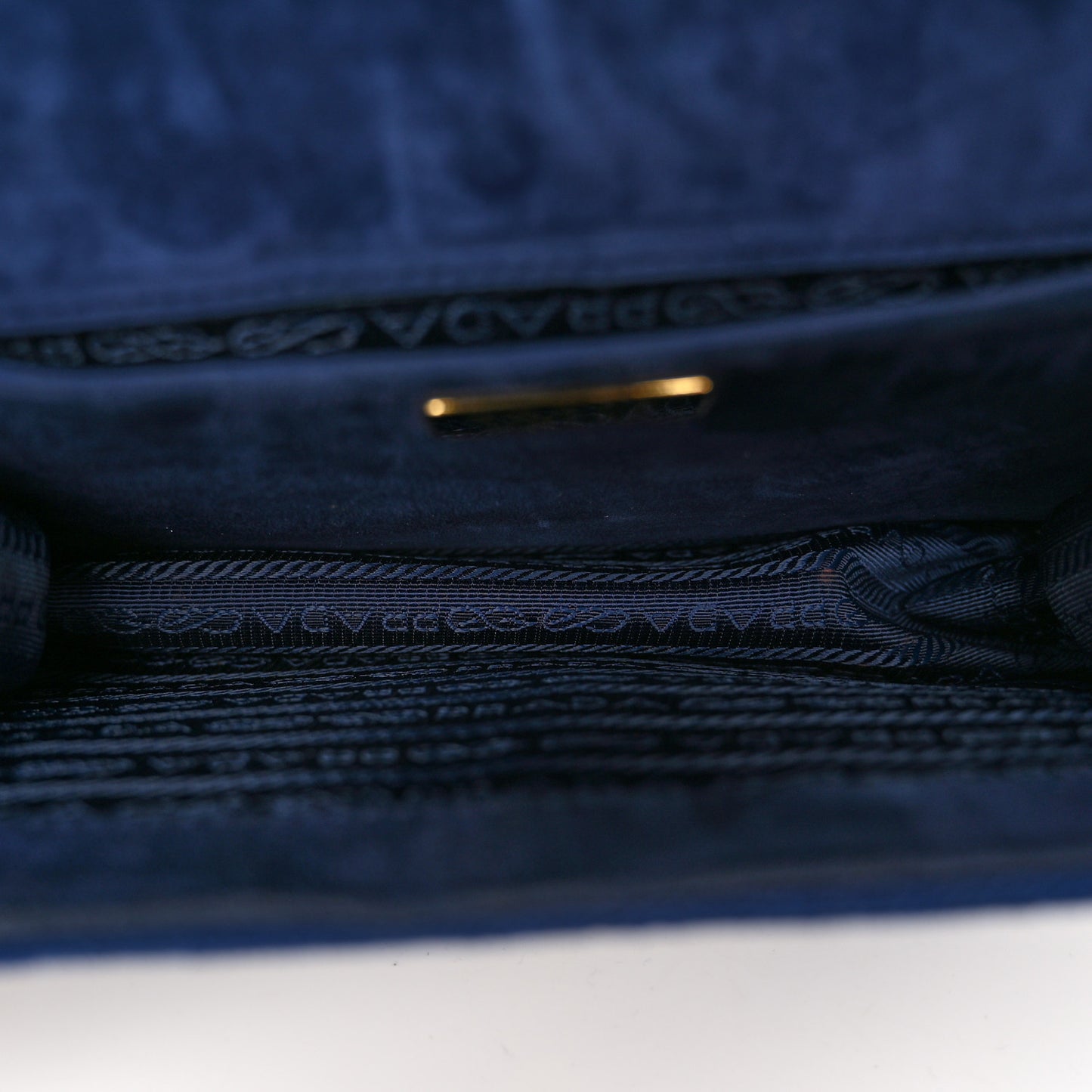 Velluto Lions Head Cahier Shoulder Bag Azzurro