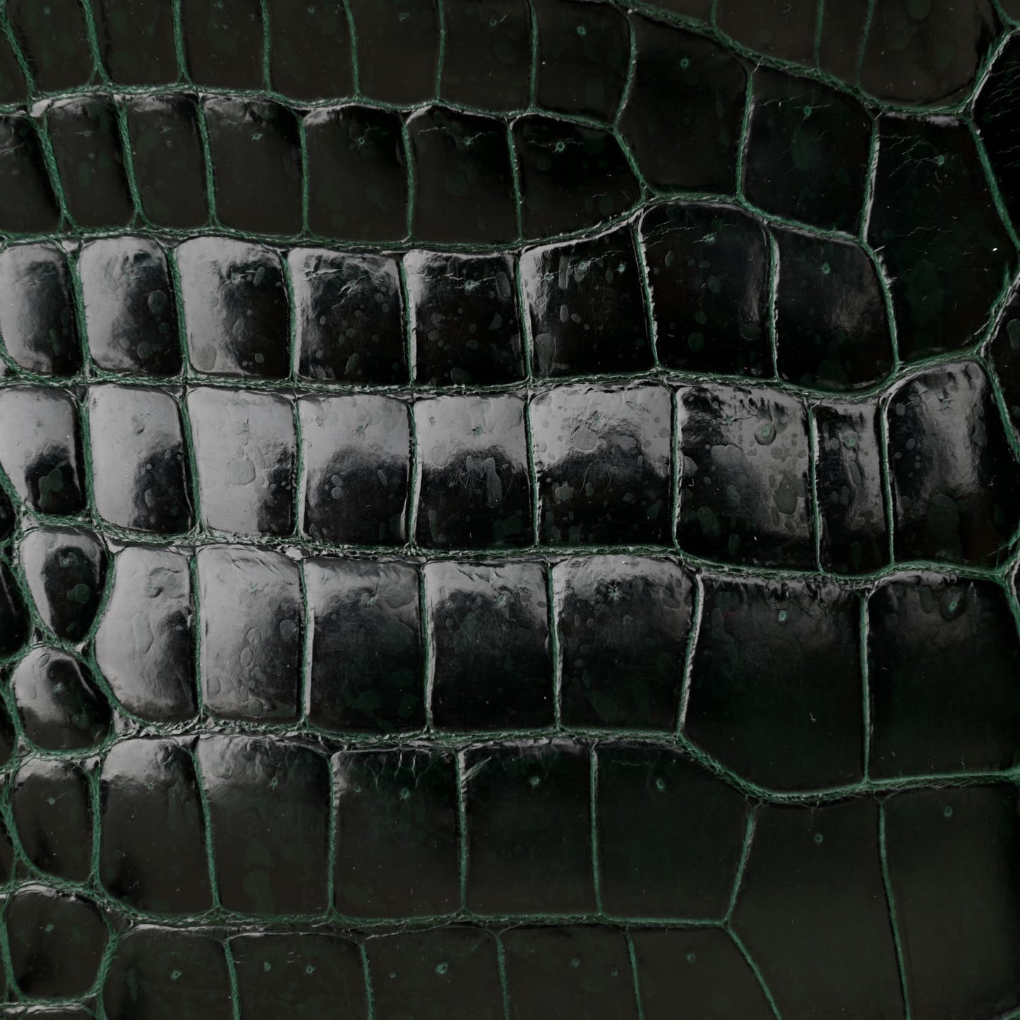 Shiny Porosus Crocodile Birkin 30 Vert Fonce